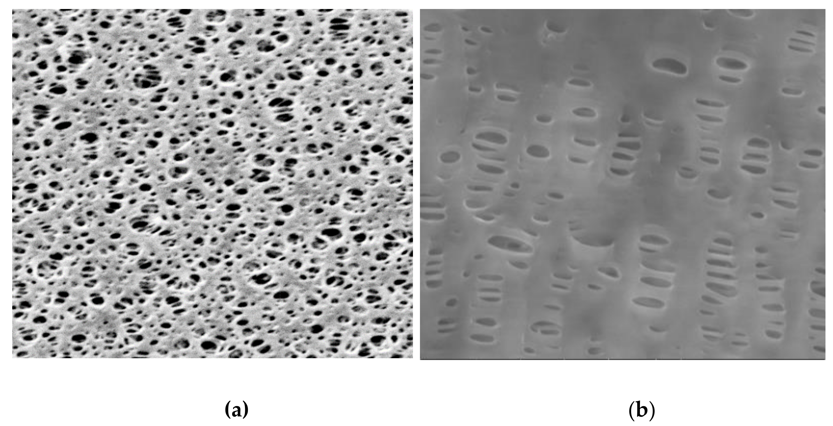Polymers 13 03201 g019 Polymers 13 03201 g019