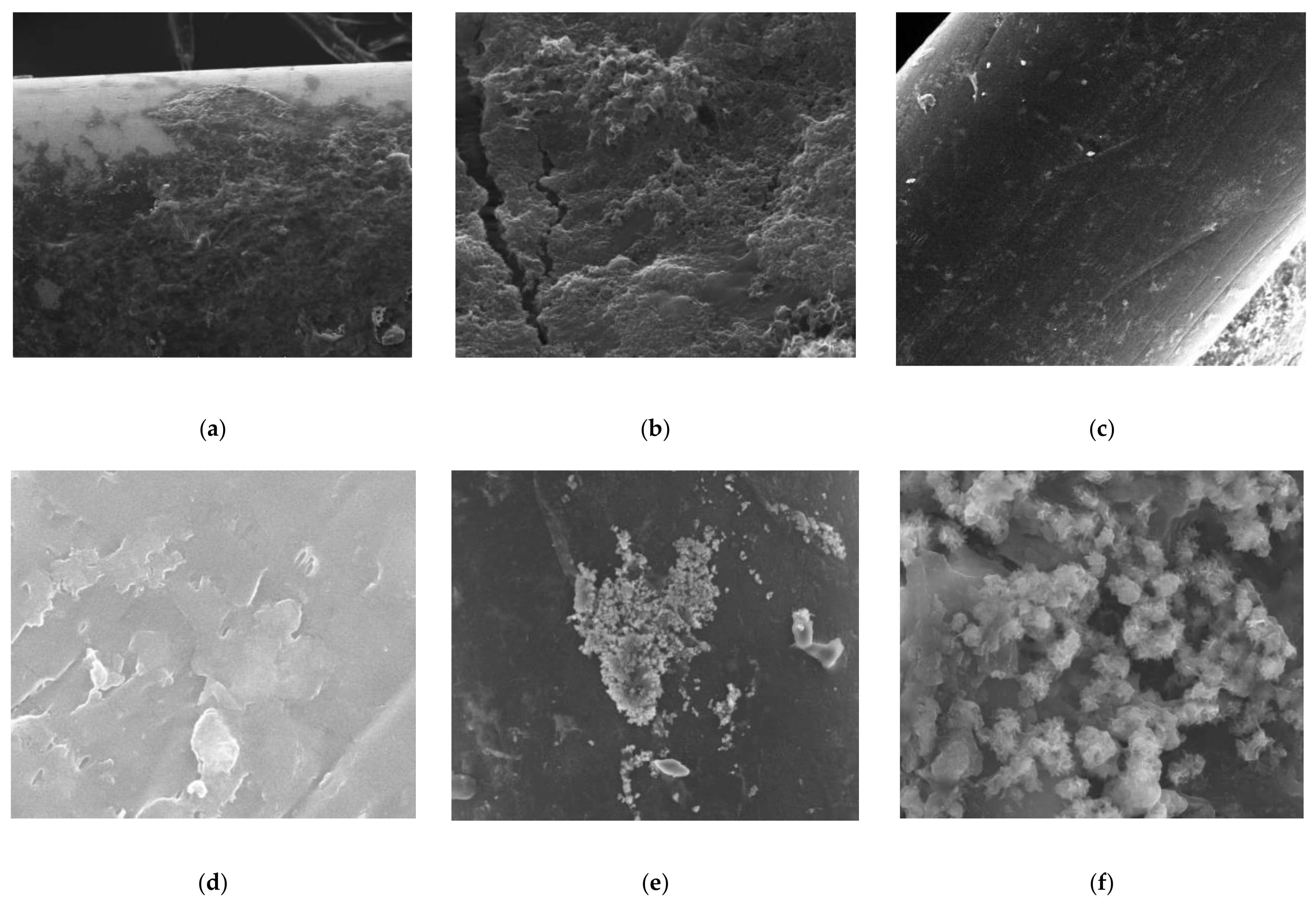 Polymers 13 03201 g021 Polymers 13 03201 g021