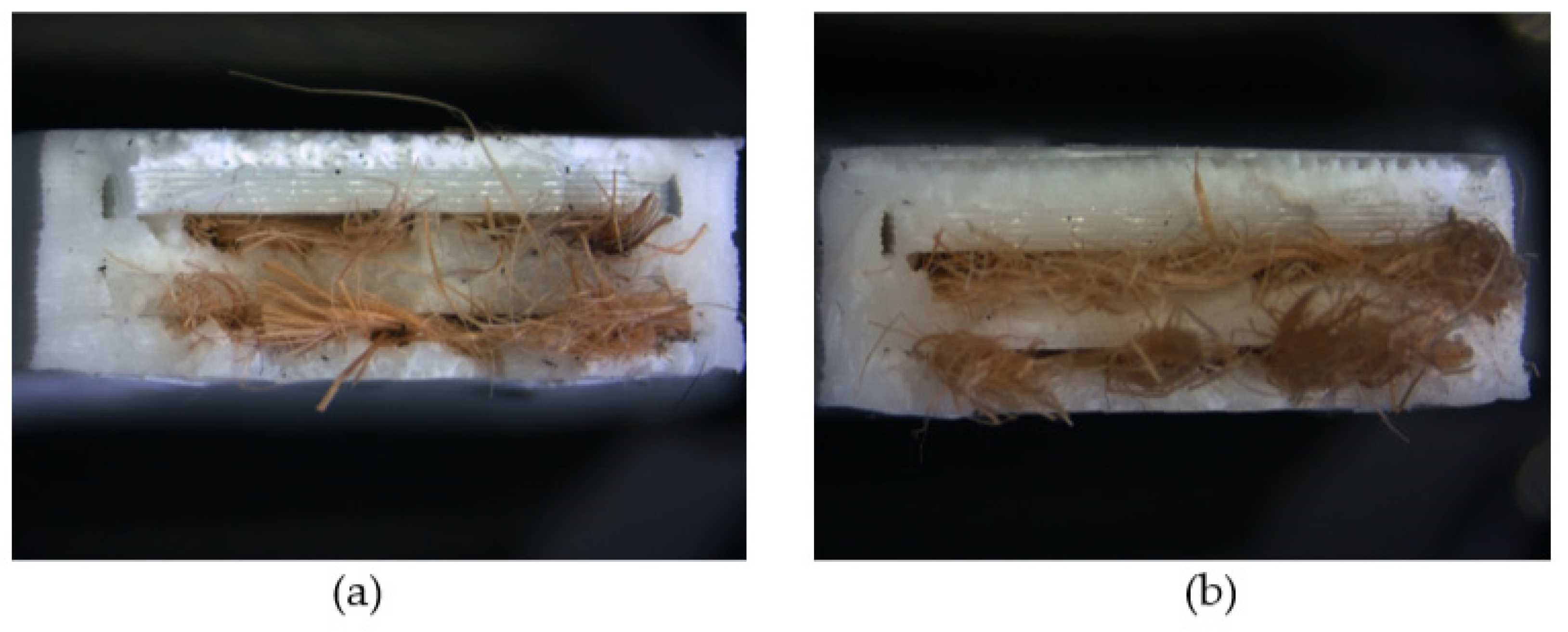 Polymers 13 03202 g004