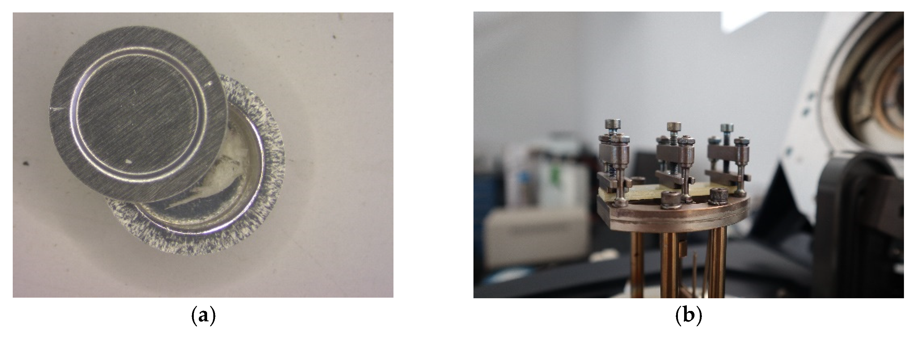 Polymers 13 03207 g002