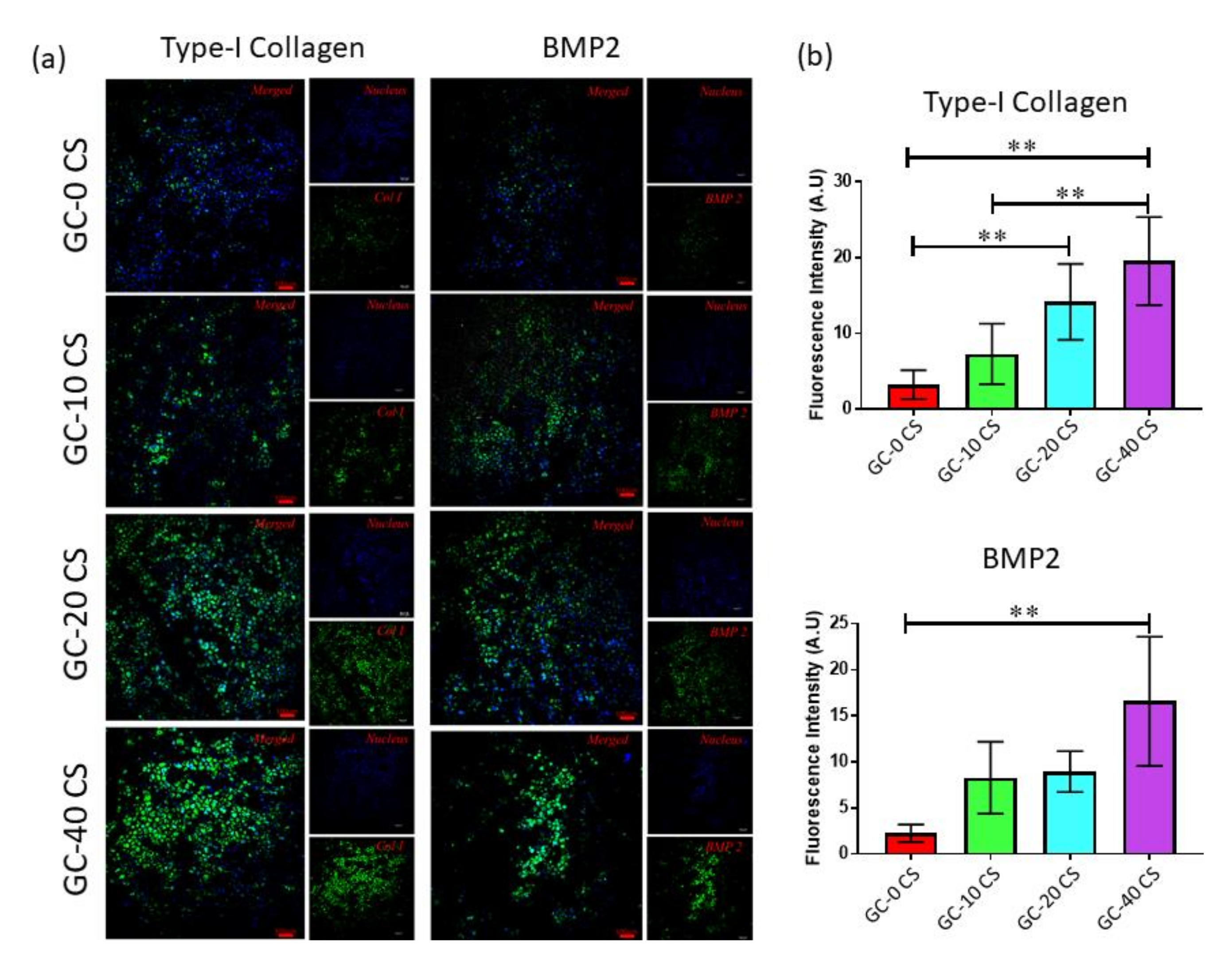Polymers 13 03211 g009