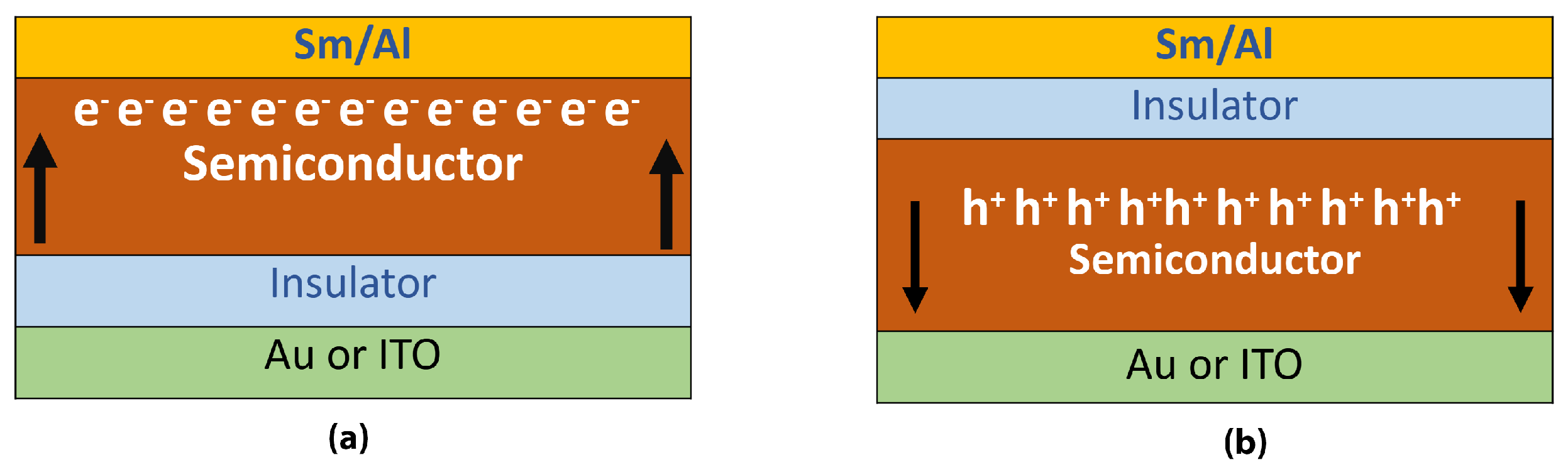 Polymers 13 03224 g005