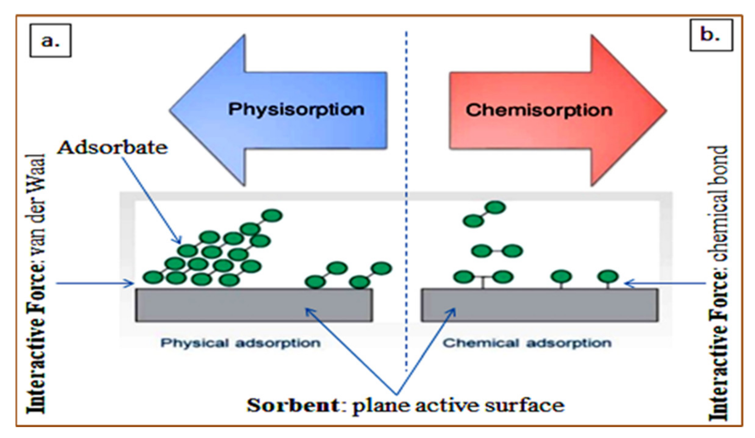 Polymers 13 03229 g003