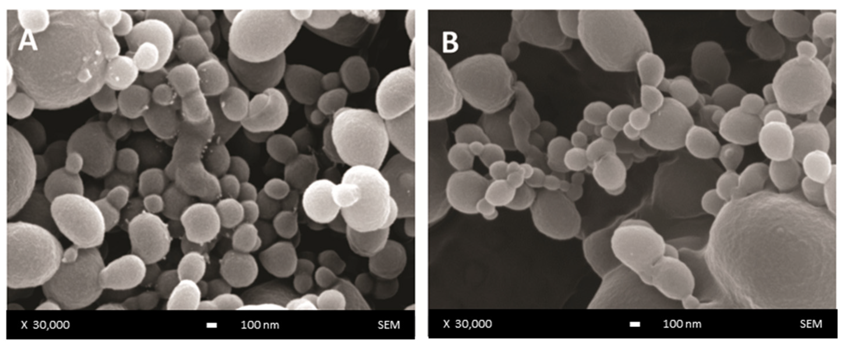 Polymers 13 03230 g001