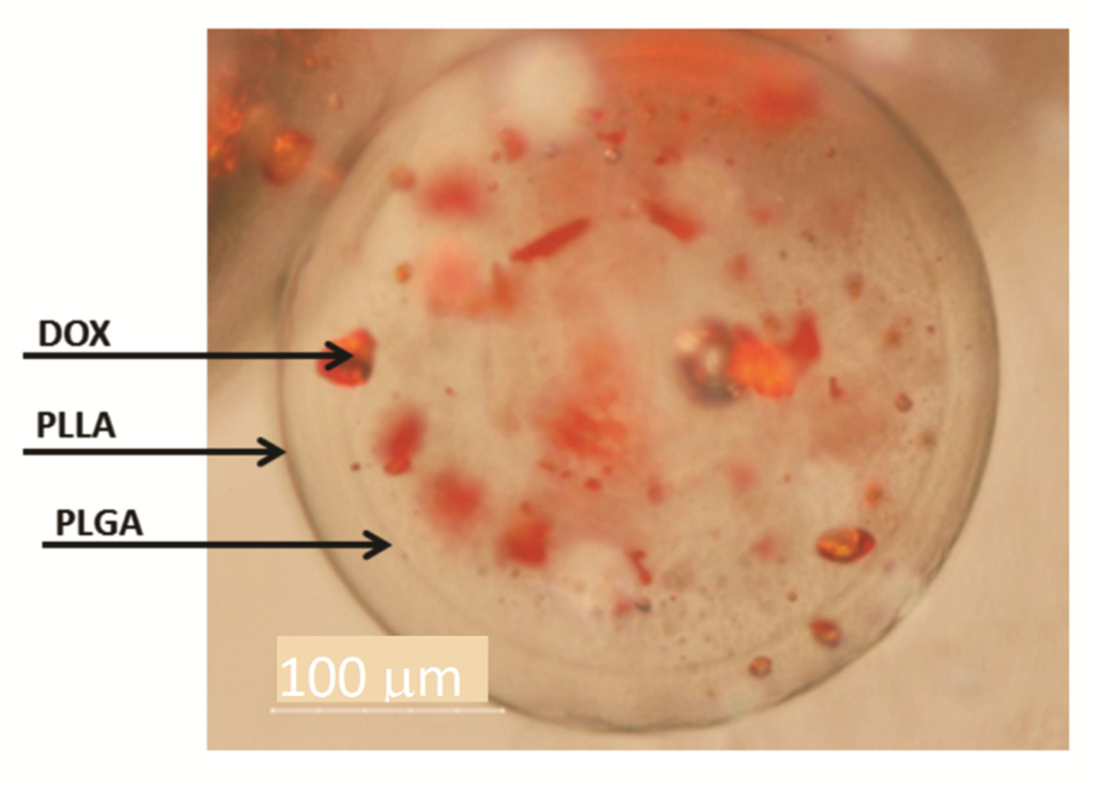 Polymers 13 03230 g004
