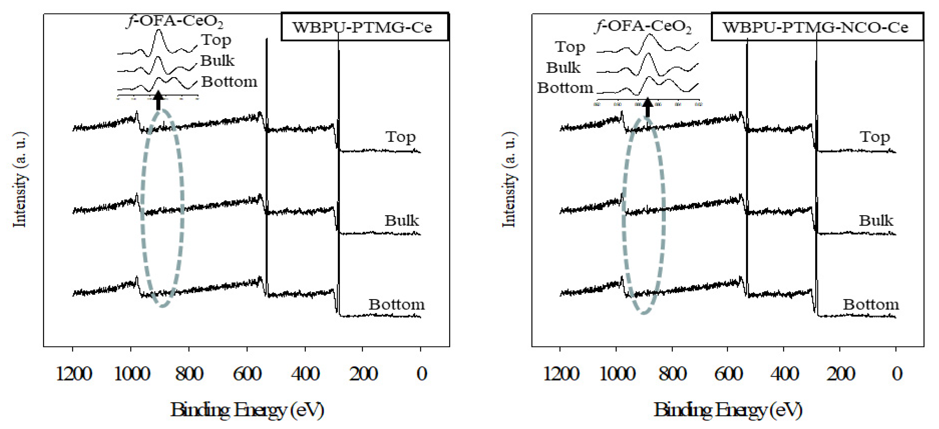 Polymers 13 03232 g003