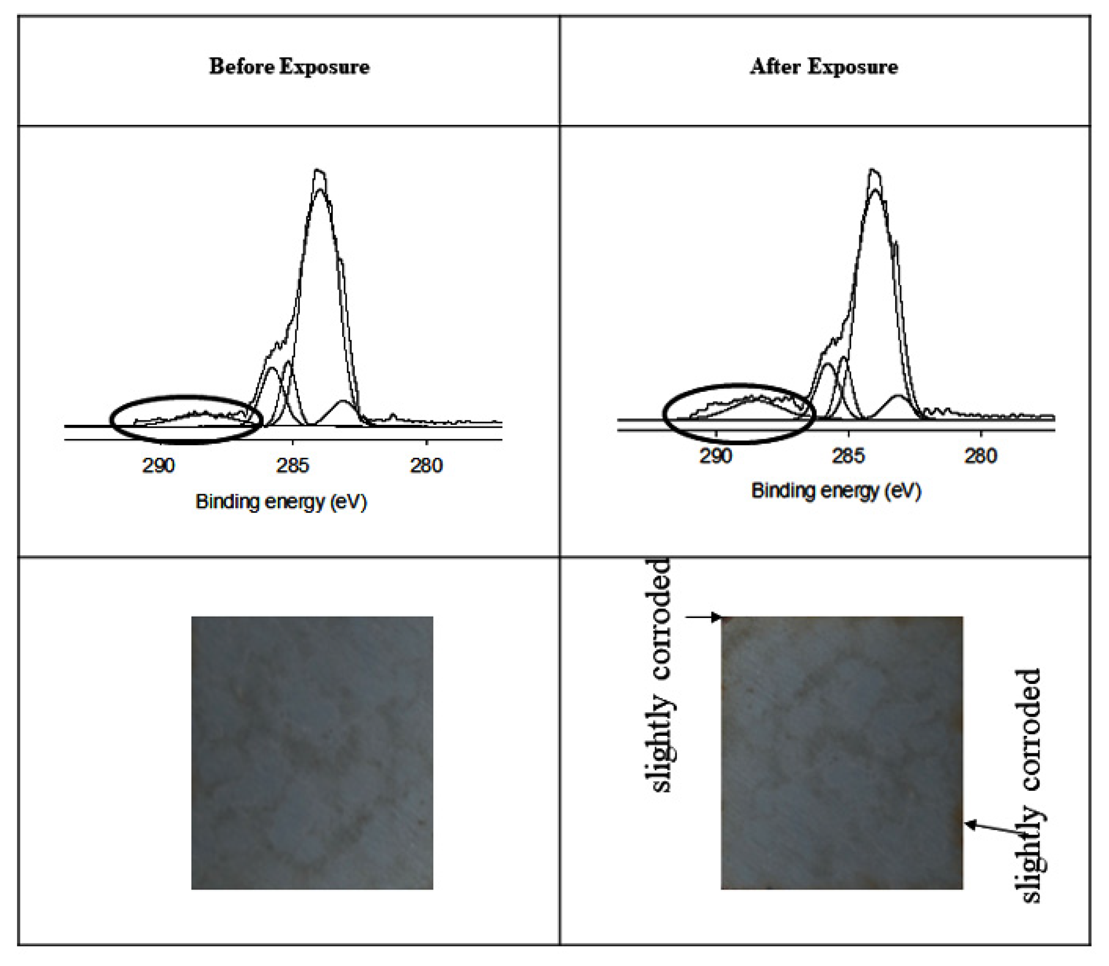 Polymers 13 03232 g006