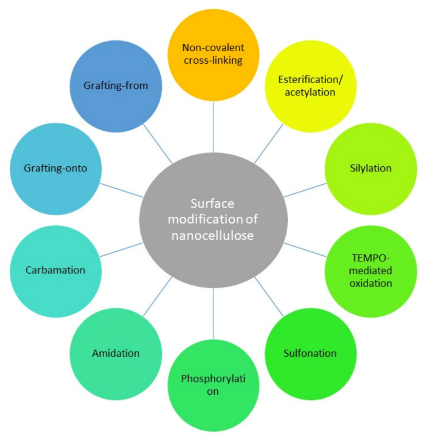 Polymers 13 03241 g004