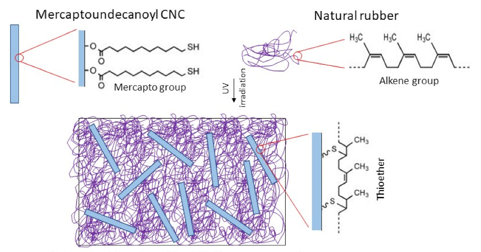 Polymers 13 03241 g005