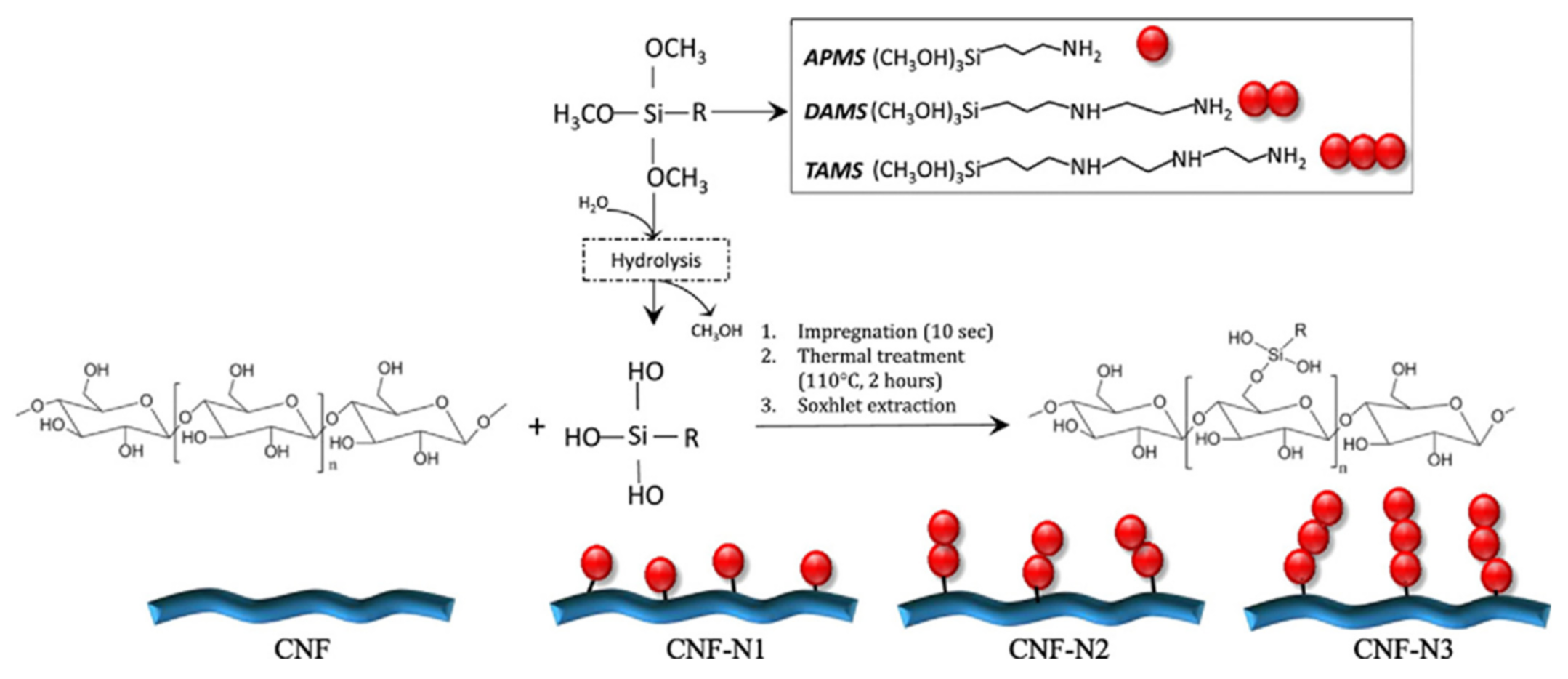 Polymers 13 03241 g006