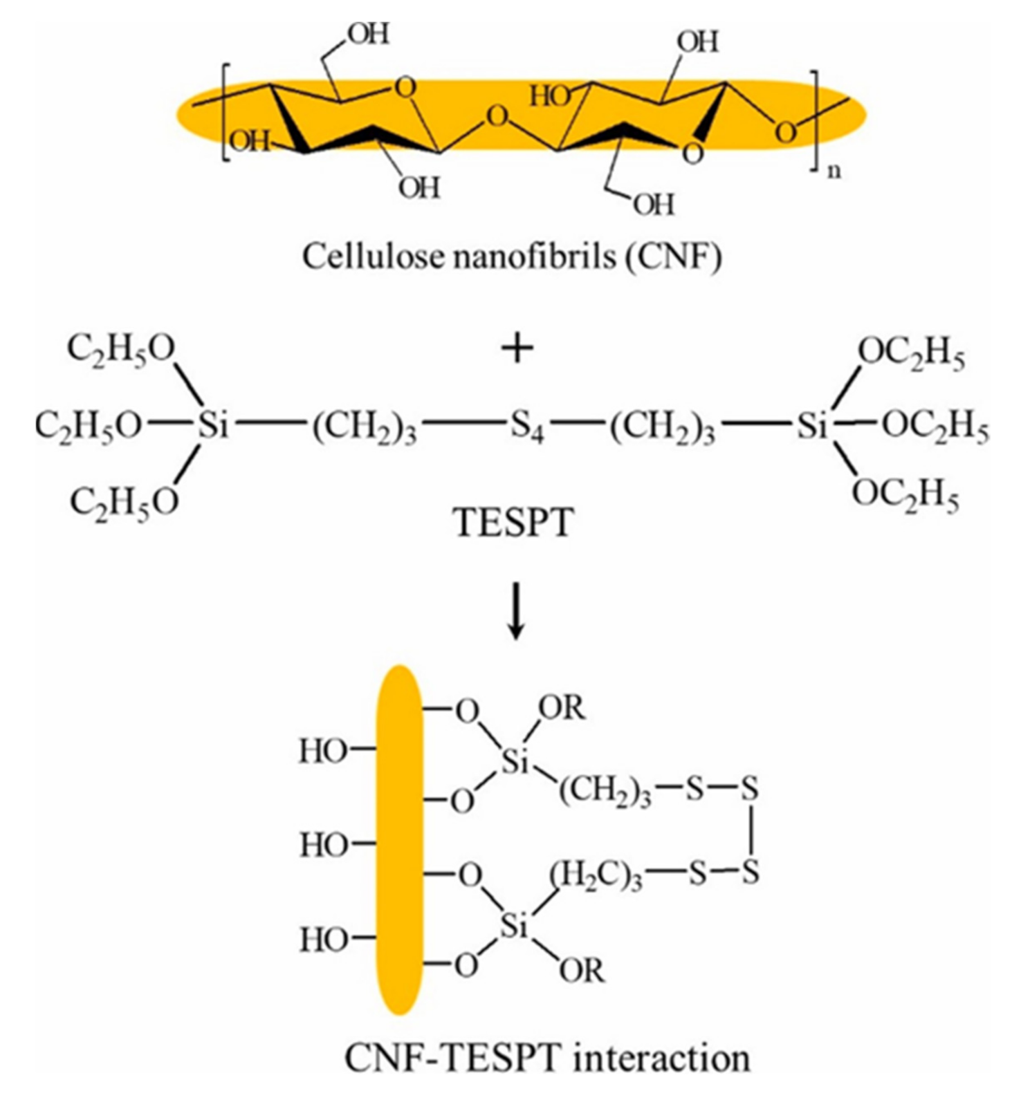 Polymers 13 03241 g007