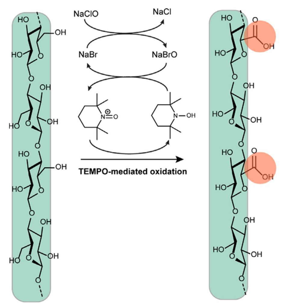 Polymers 13 03241 g008
