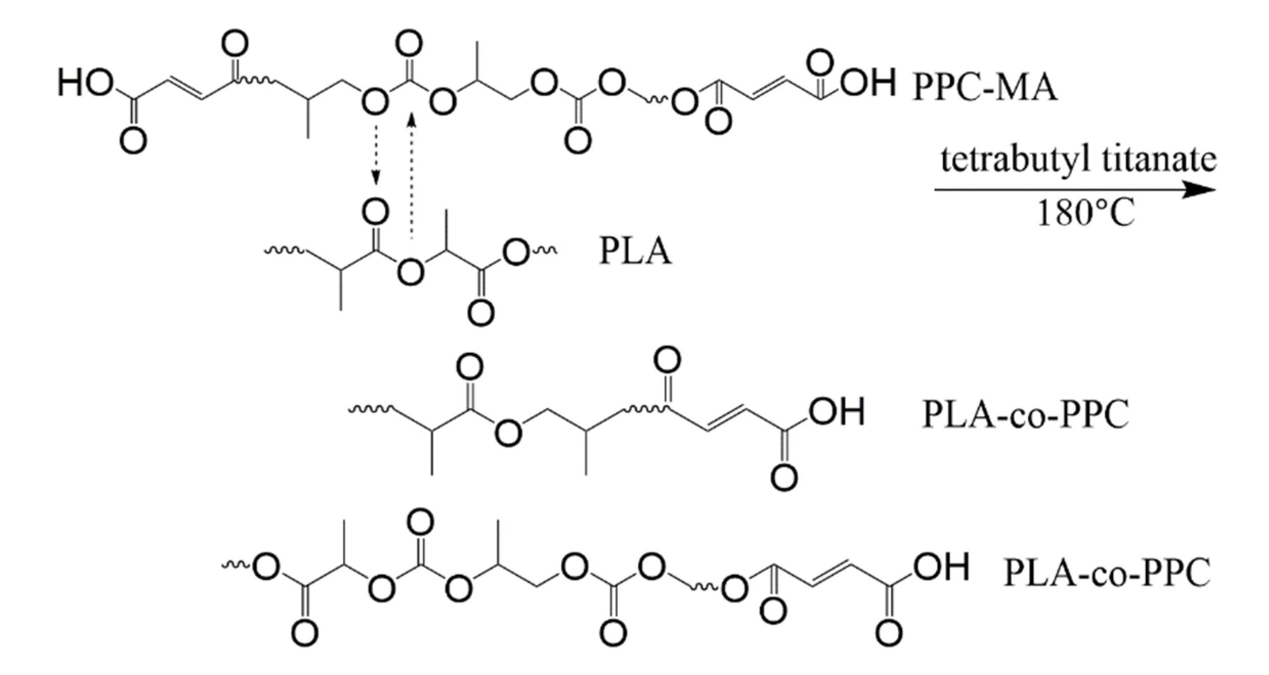 Polymers 13 03245 g002