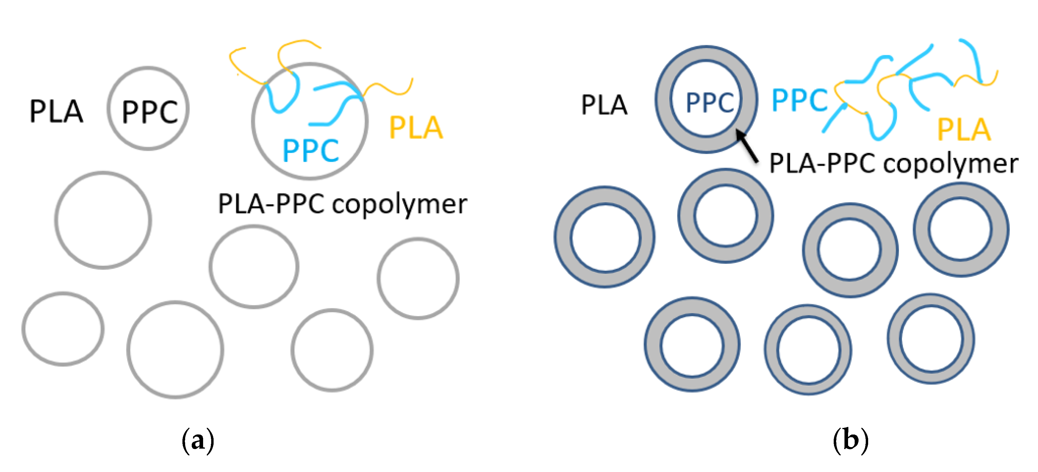 Polymers 13 03245 g004