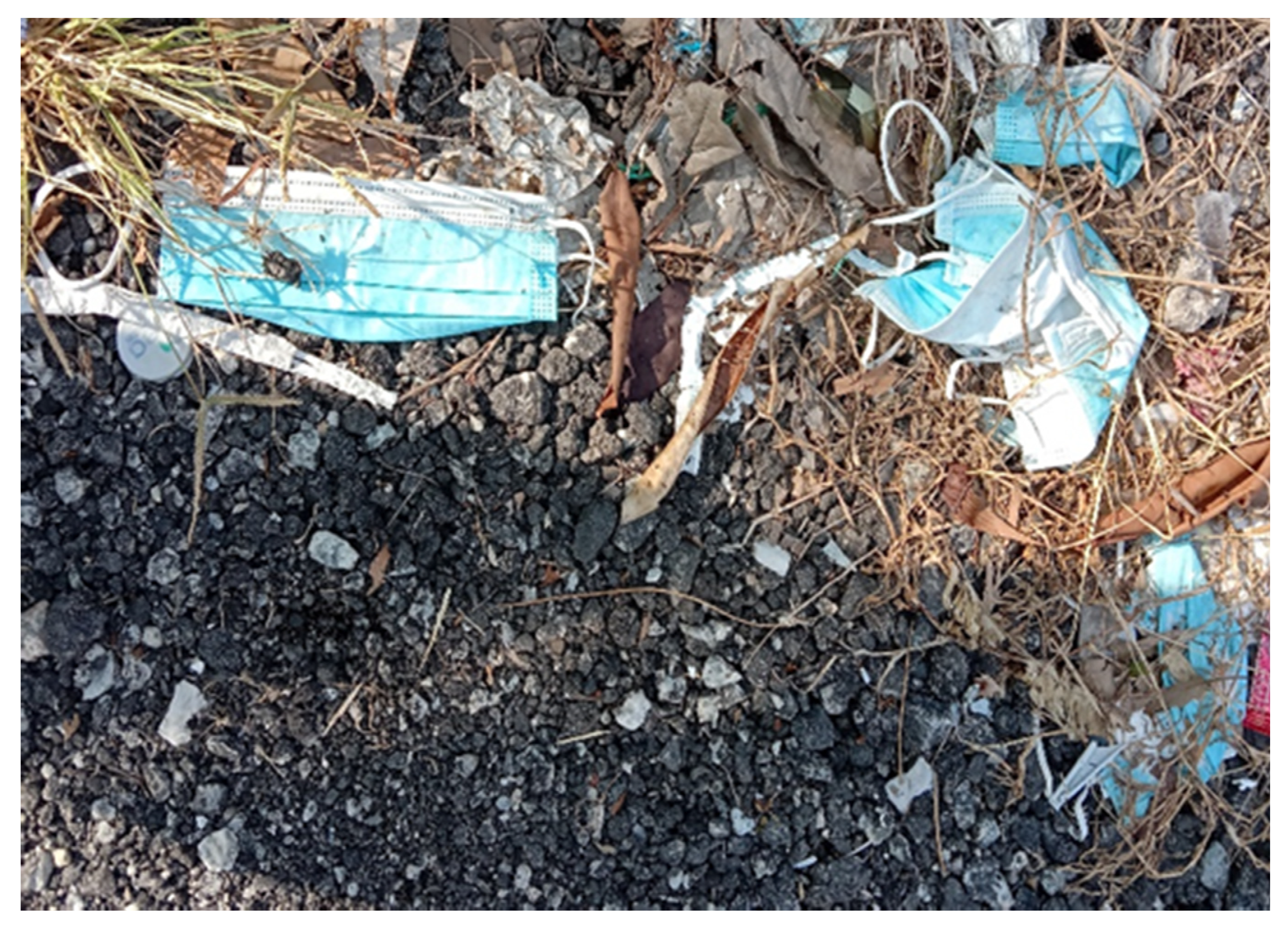 Polymers 13 03249 g001