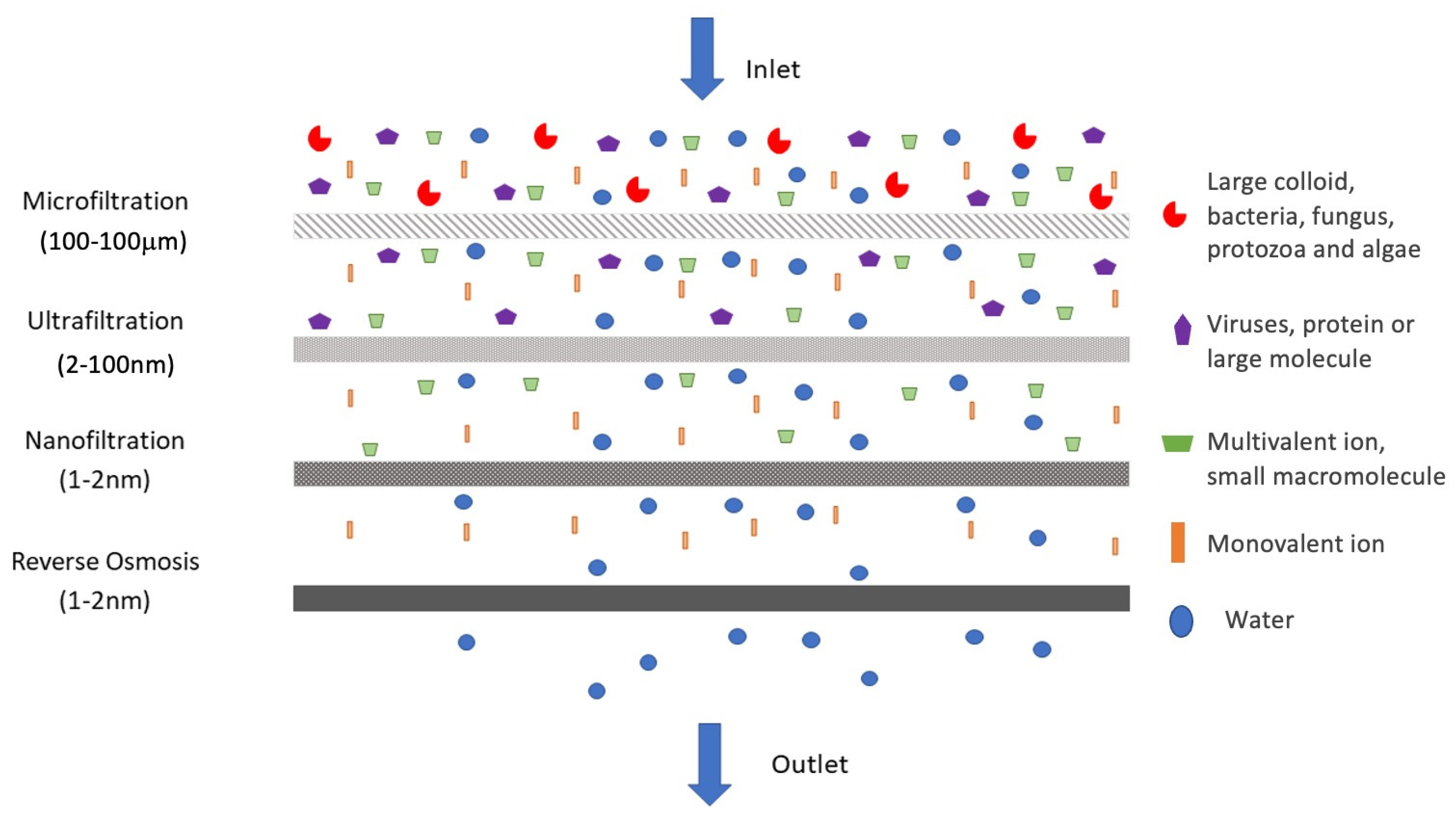 Polymers 13 03249 g002