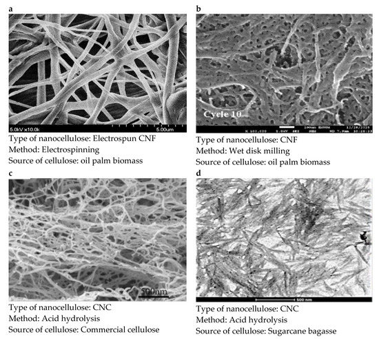 Polymers 13 03249 g003 550