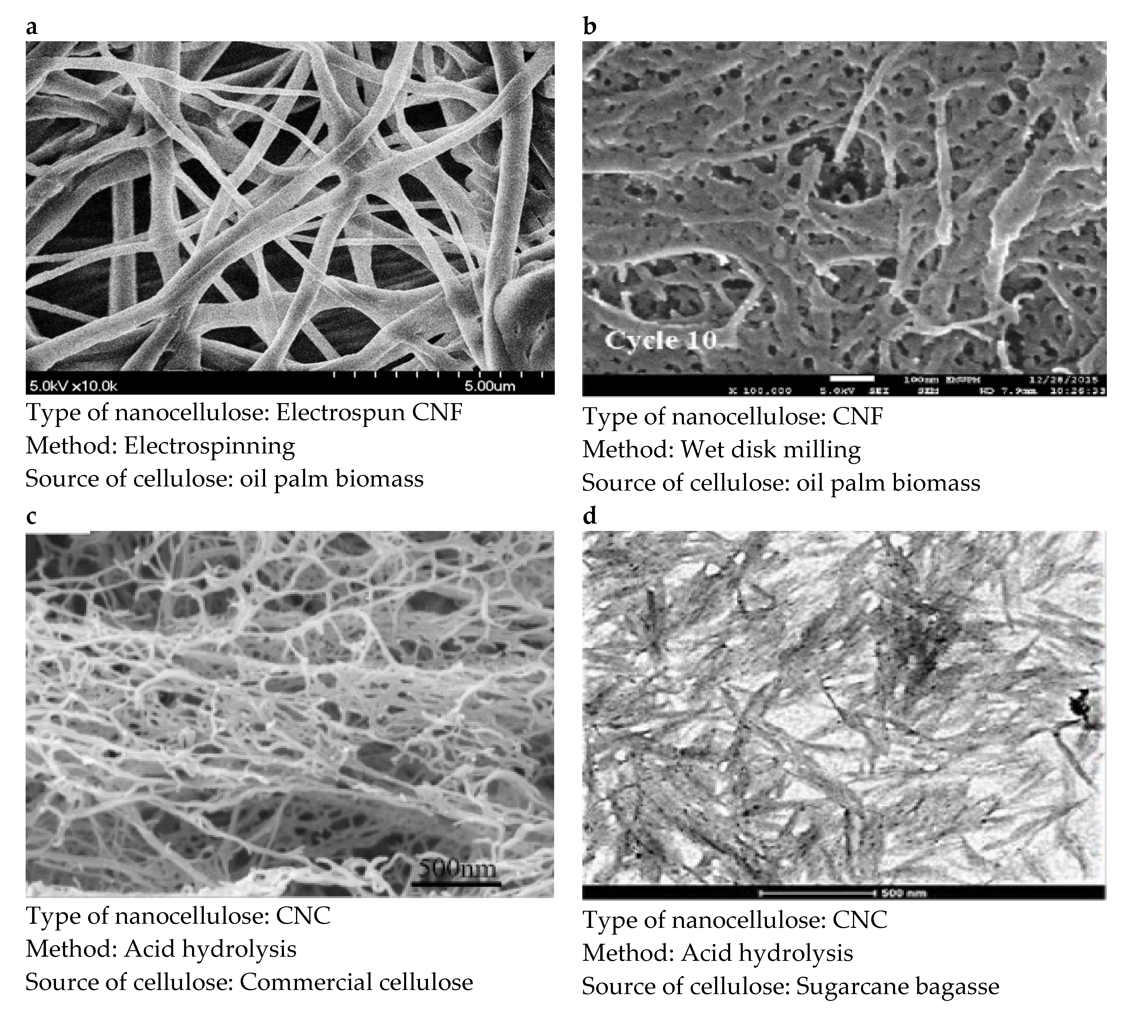 Polymers 13 03249 g003