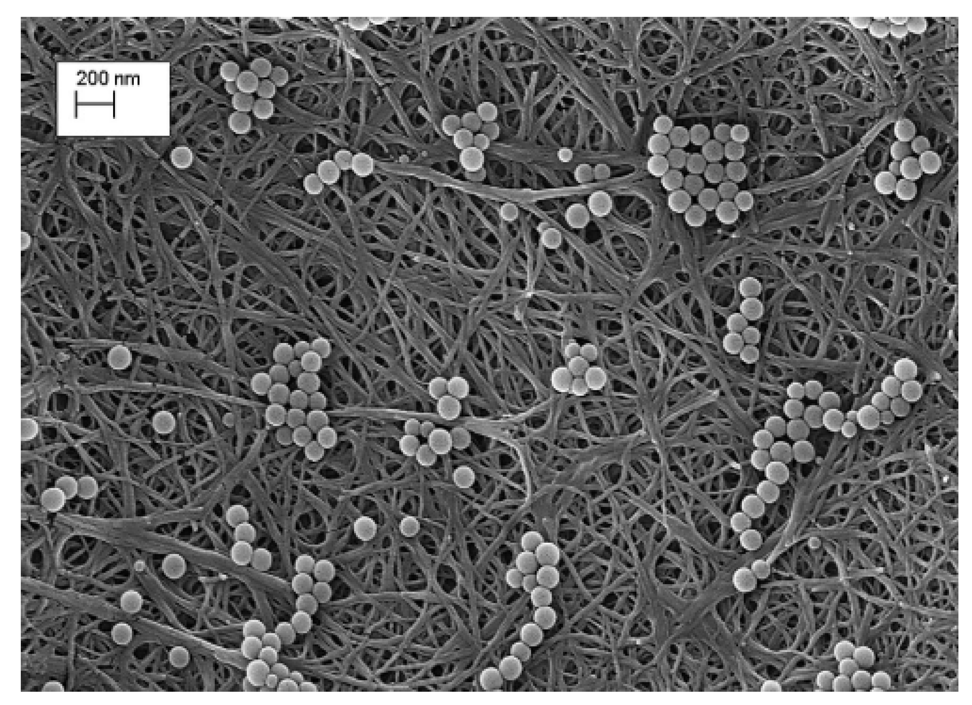 Polymers 13 03249 g006