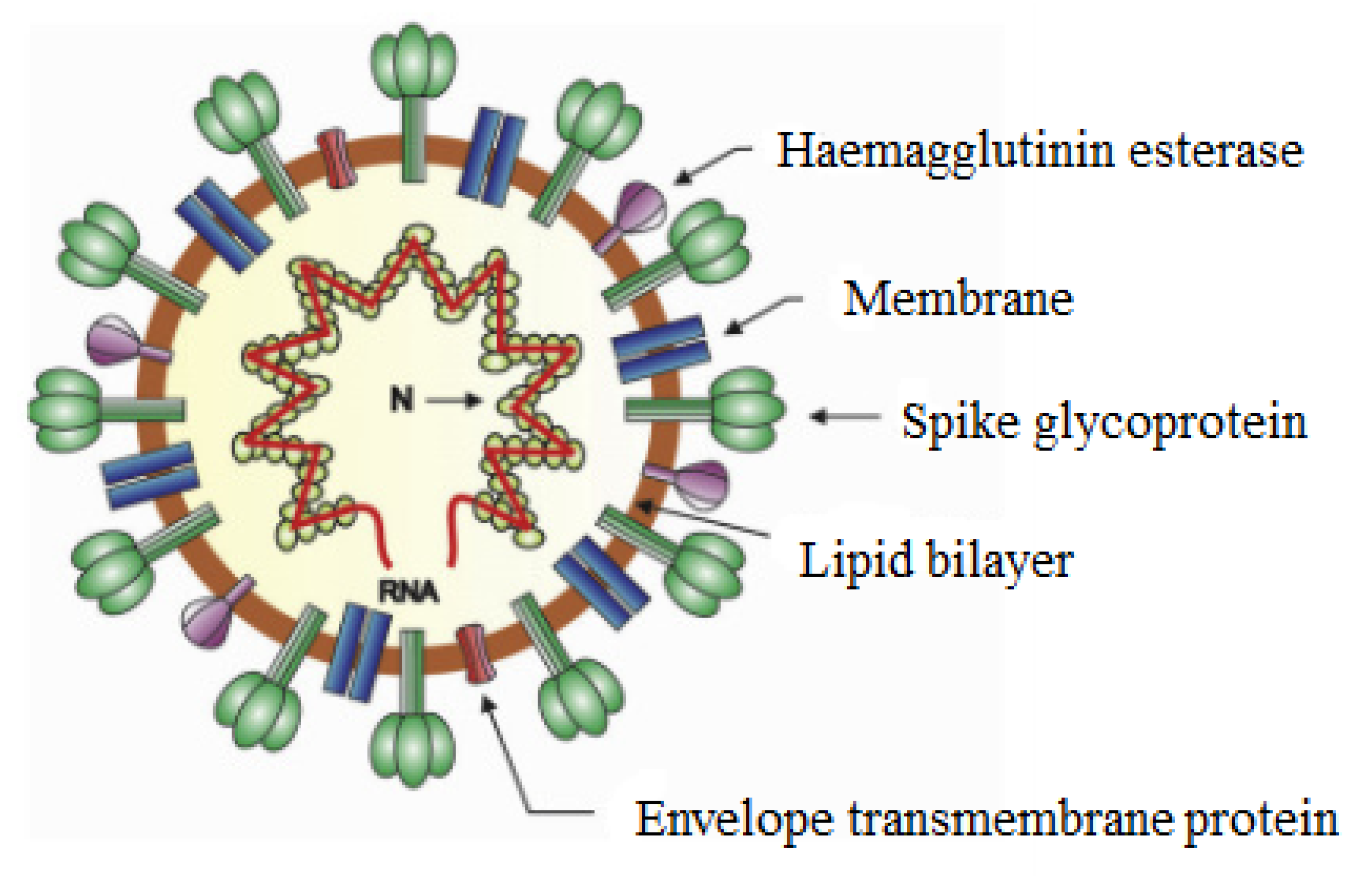 Polymers 13 03249 g007