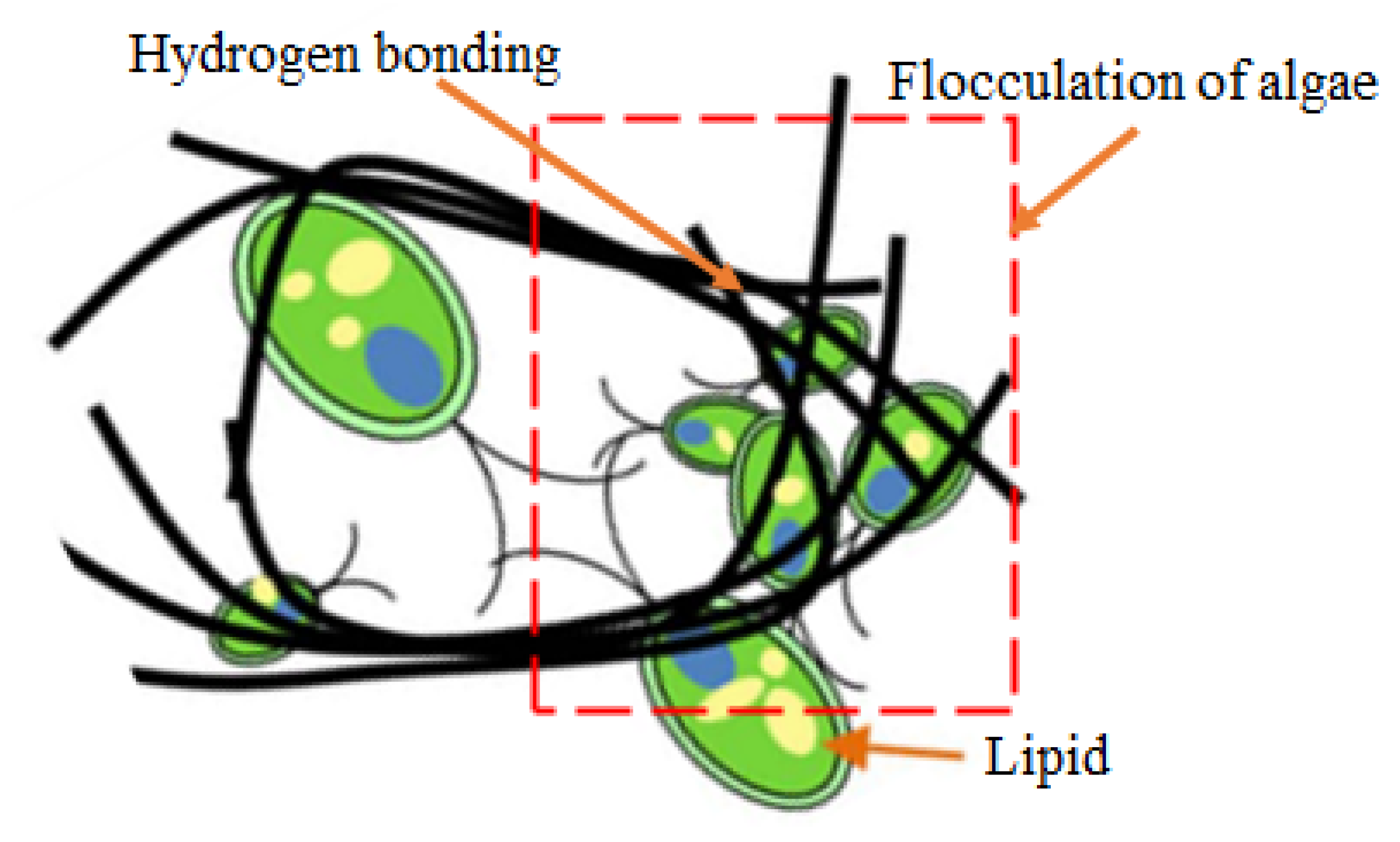 Polymers 13 03249 g009