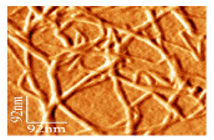 Polymers 13 03249 i001