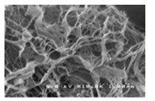 Polymers 13 03249 i003