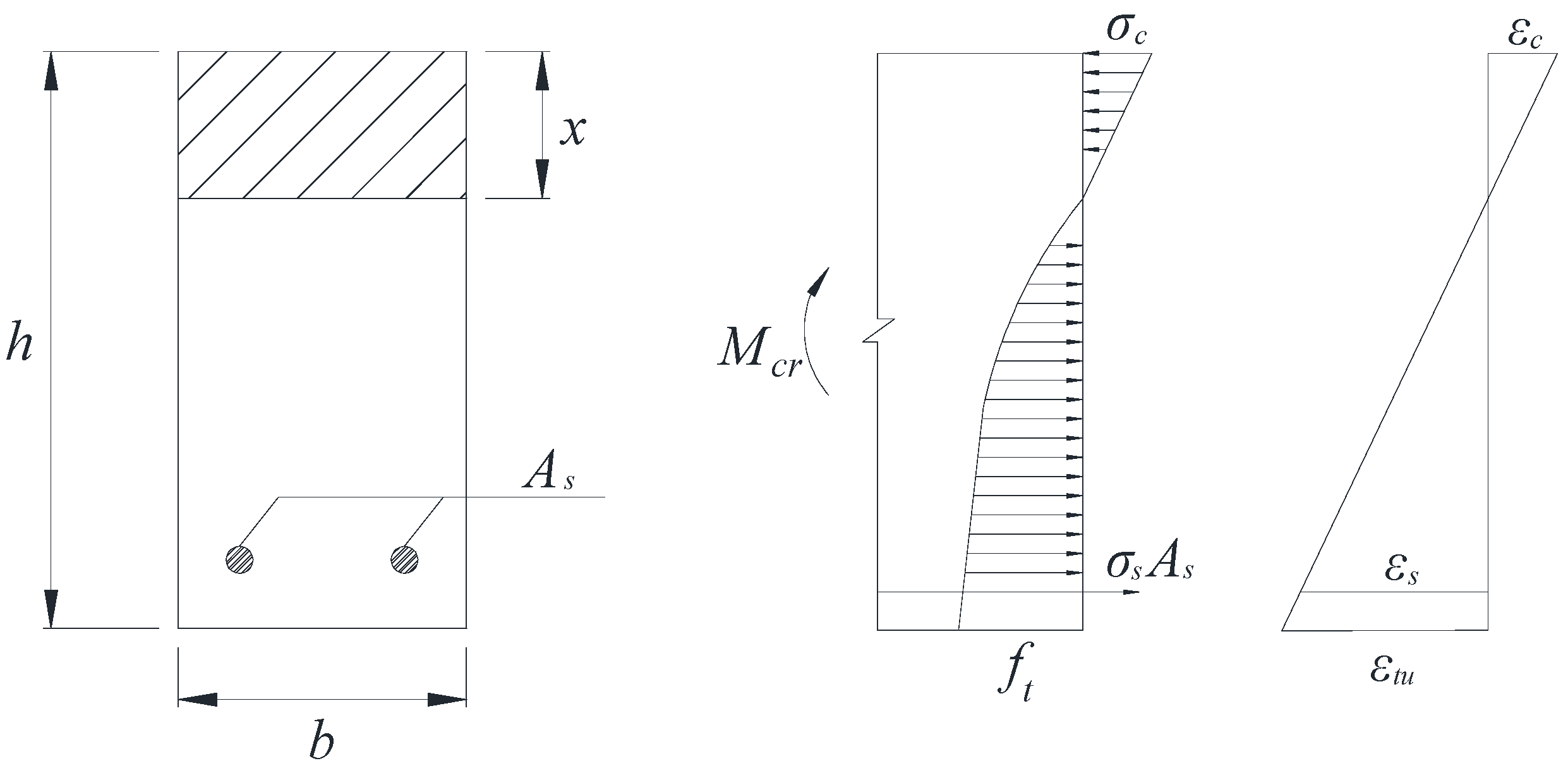 Polymers 13 03261 g004