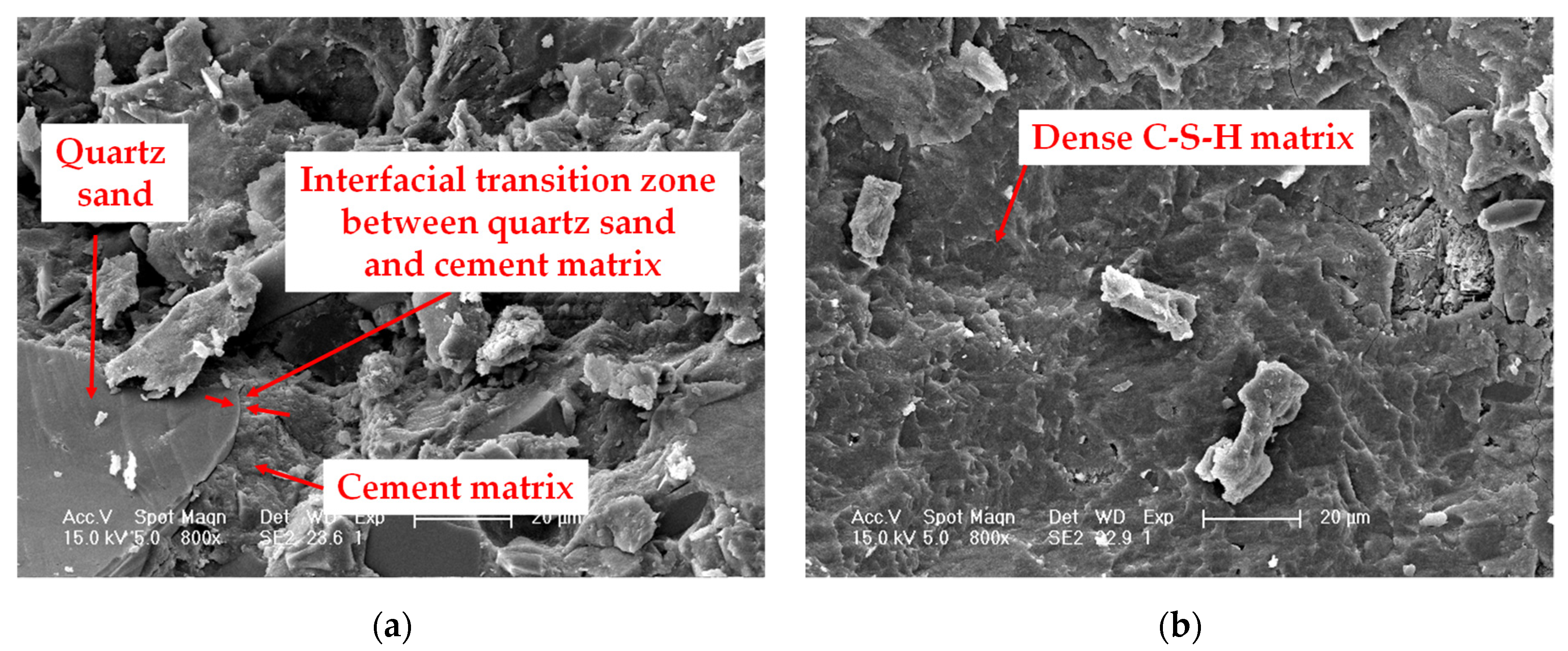 Polymers 13 03261 g008a