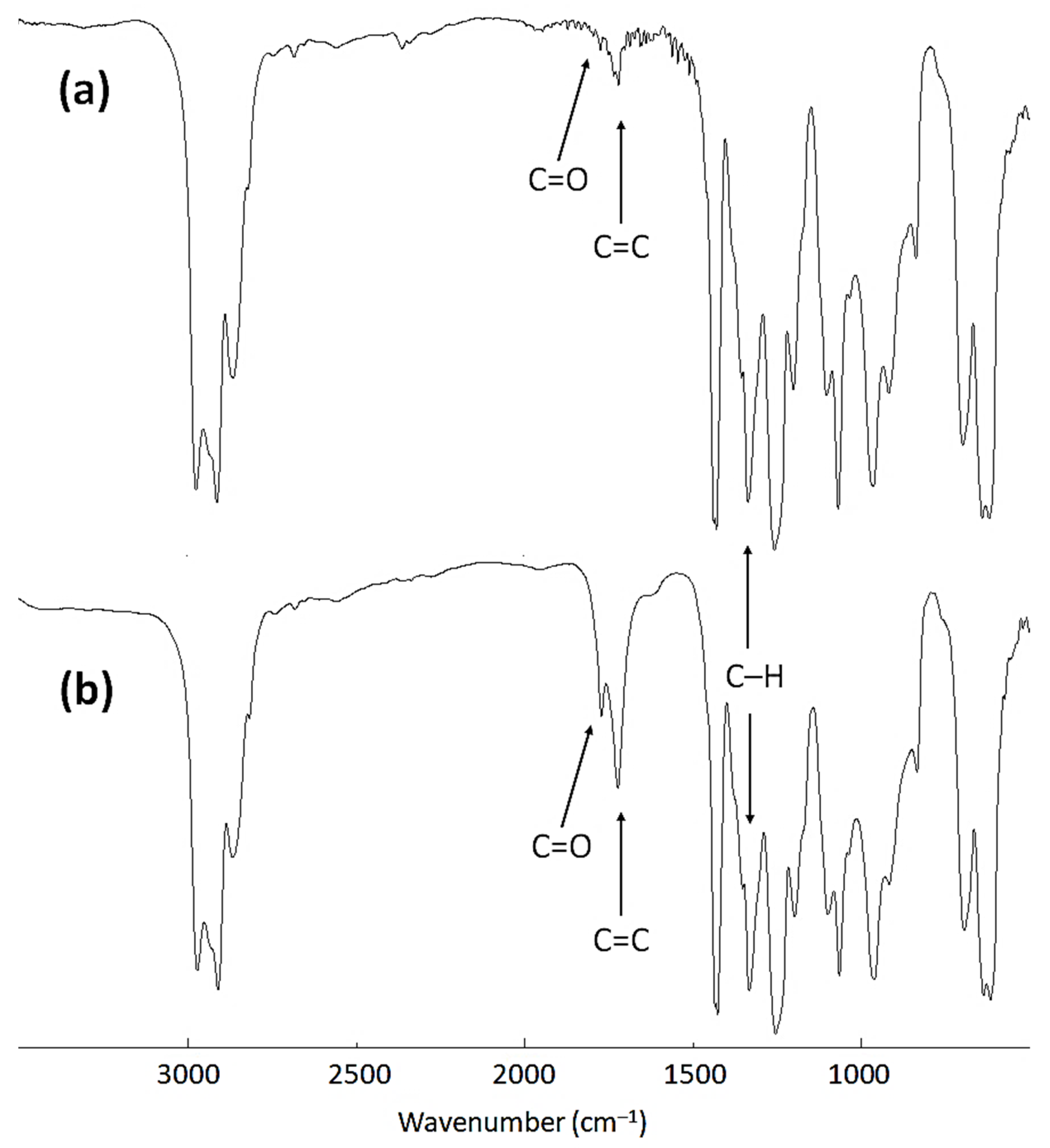 Polymers 13 03264 g001