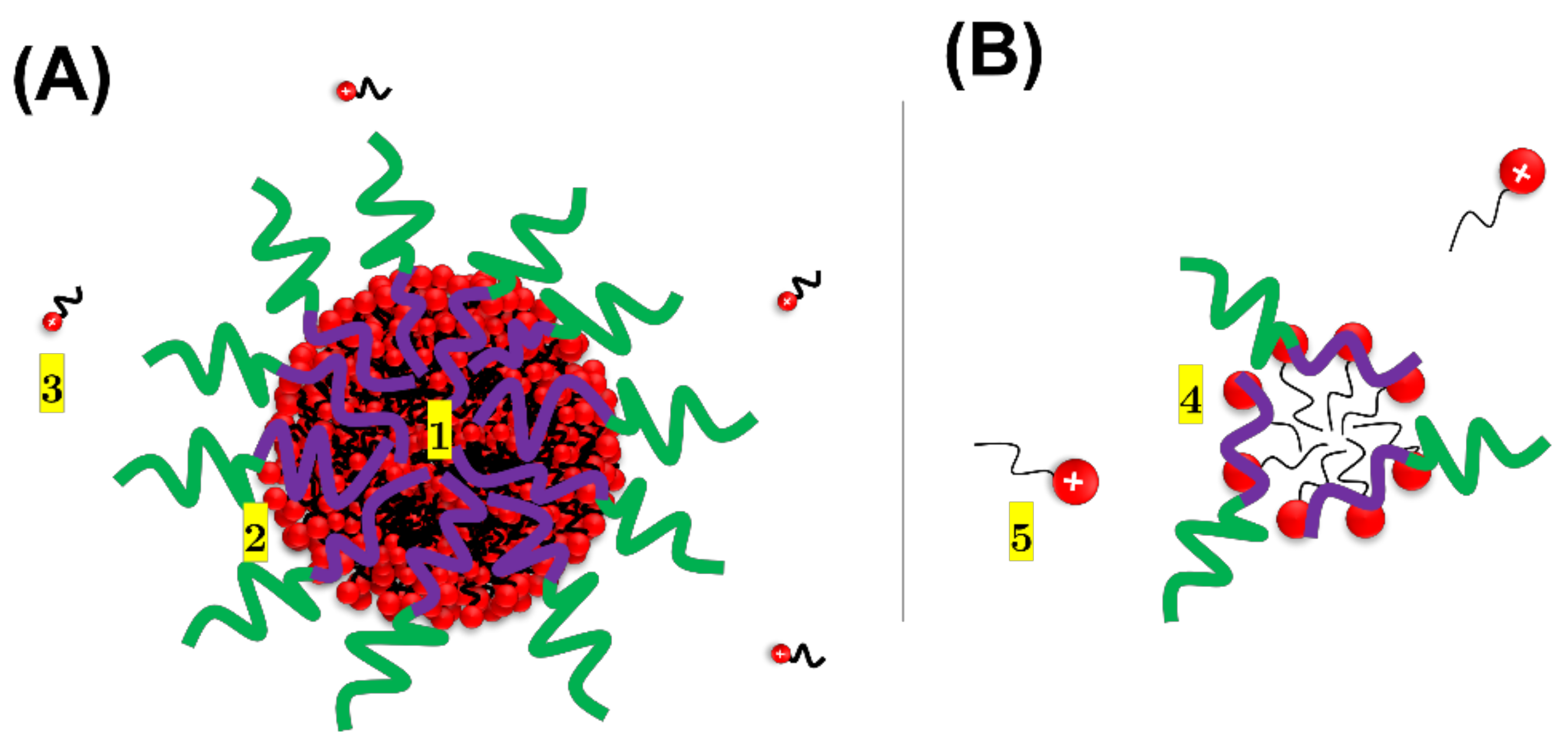 Polymers 13 03265 g006