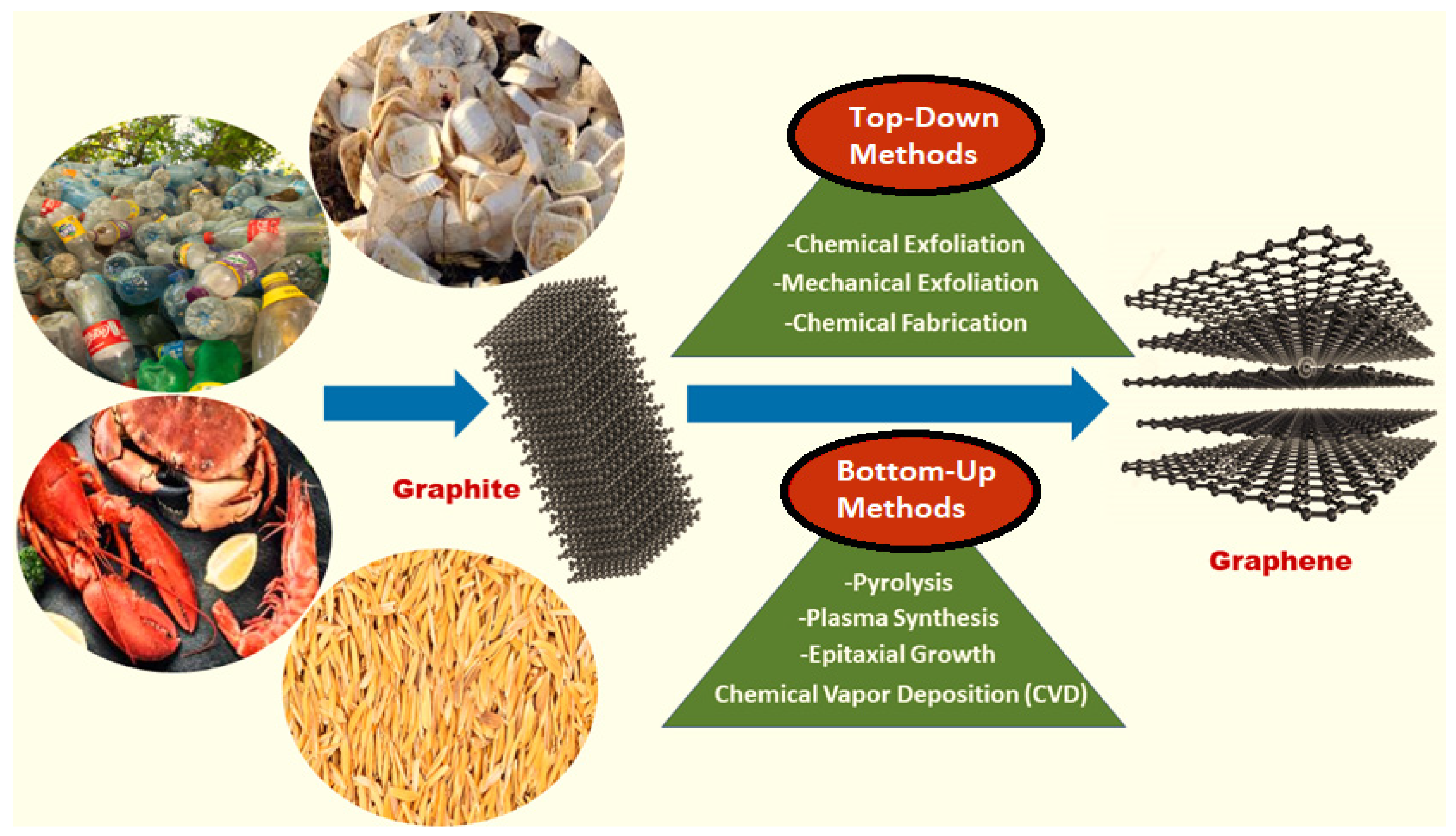 Polymers 13 03266 g001