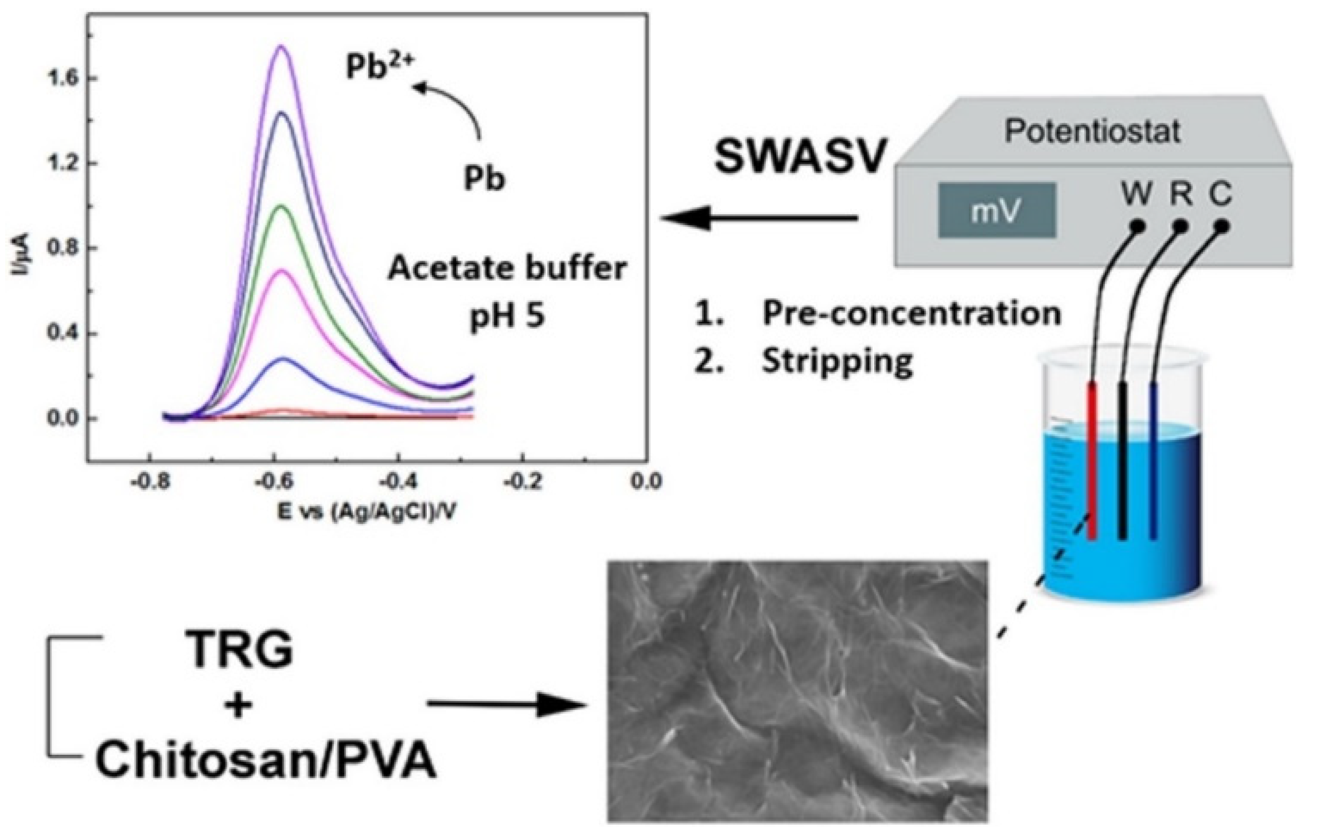 Polymers 13 03266 g007