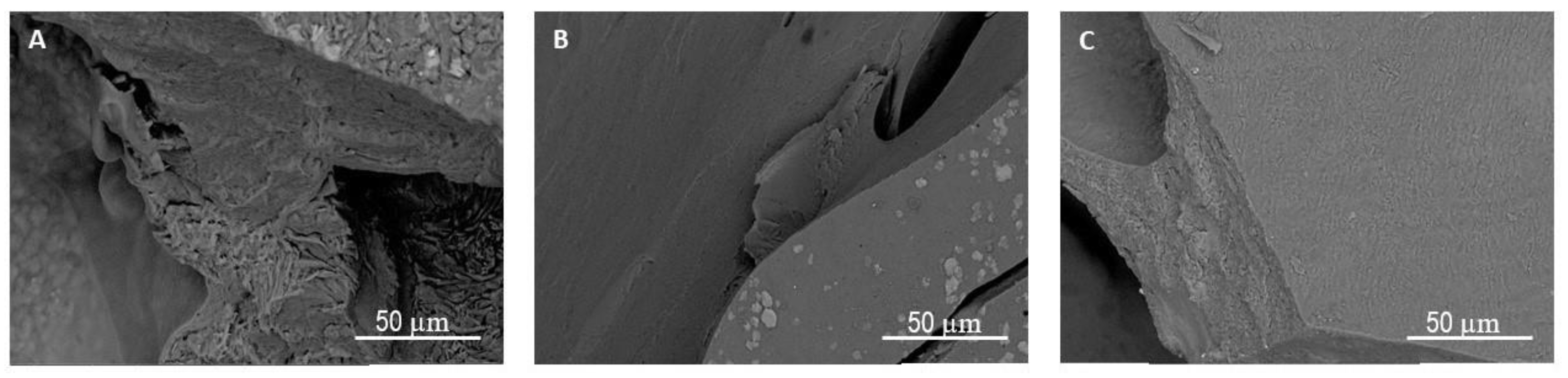 Polymers 13 03274 g006