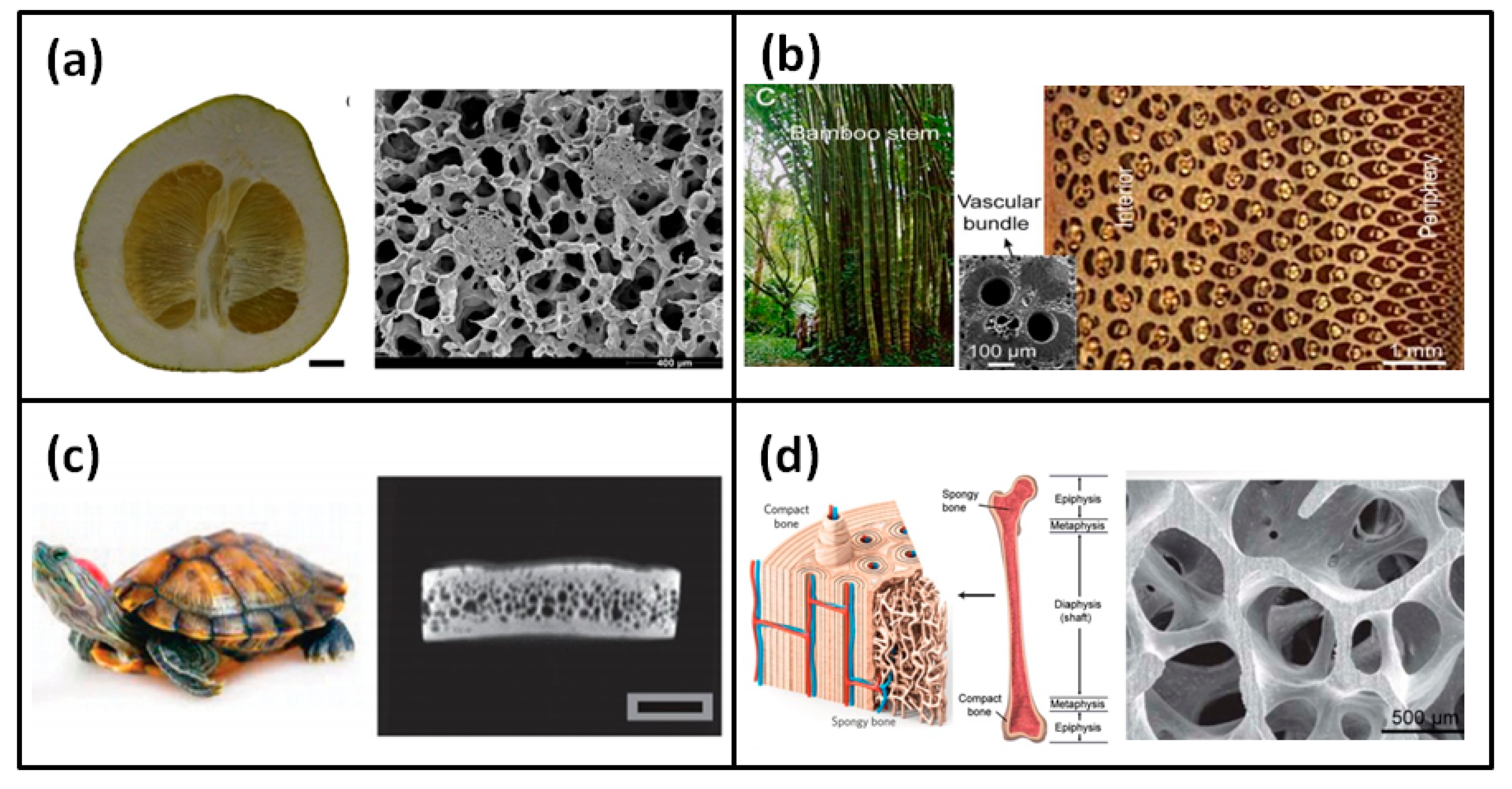 Polymers 13 03283 g001