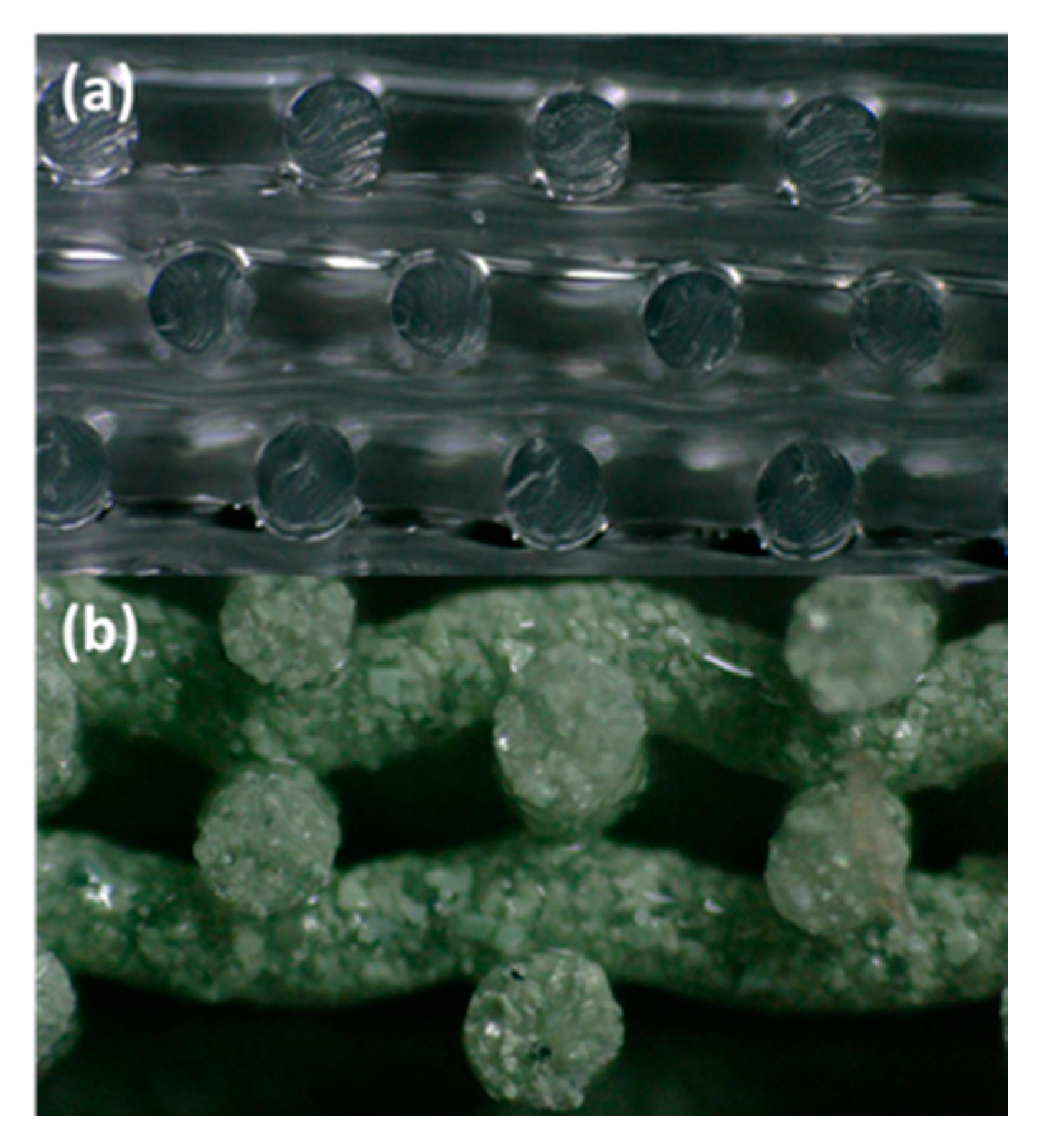 Polymers 13 03284 g004 Polymers 13 03284 g004
