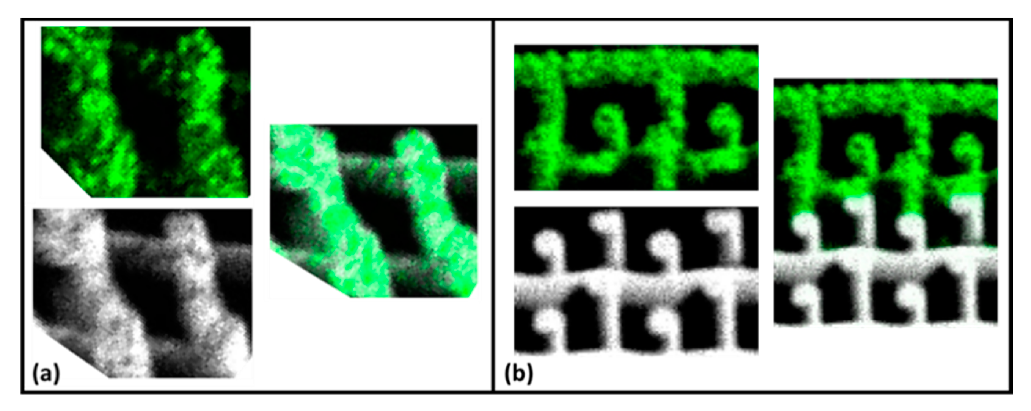 Polymers 13 03284 g011 Polymers 13 03284 g011