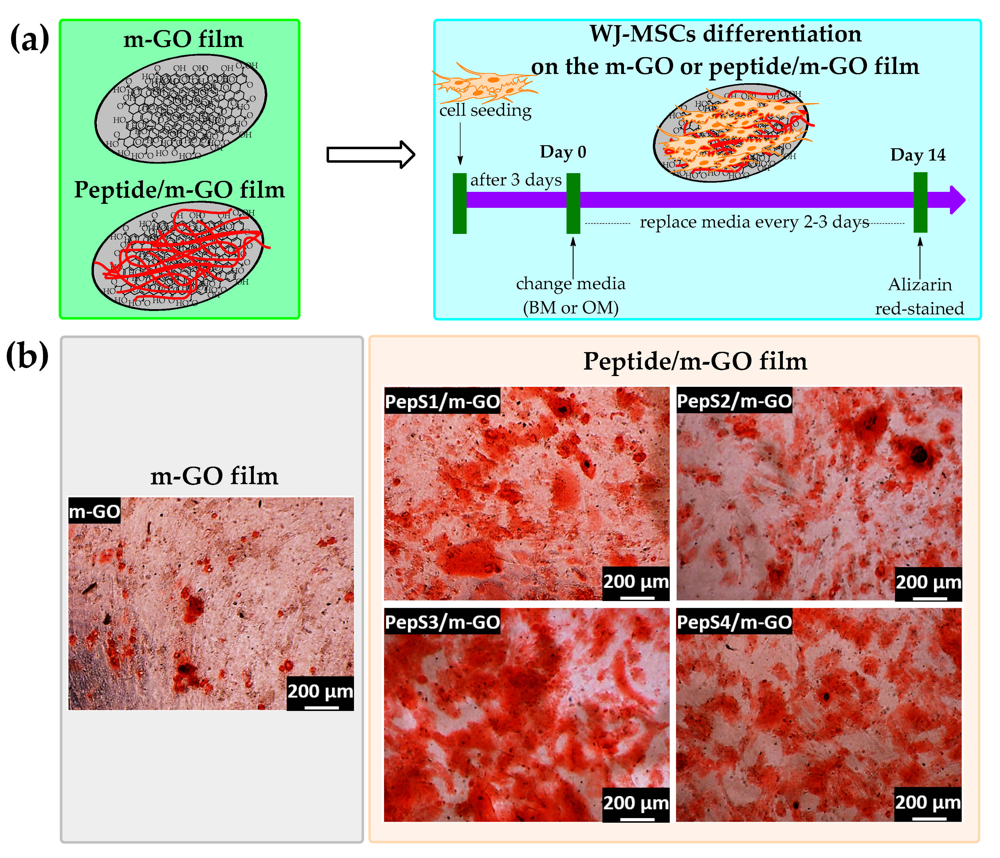 Polymers 13 03290 g004