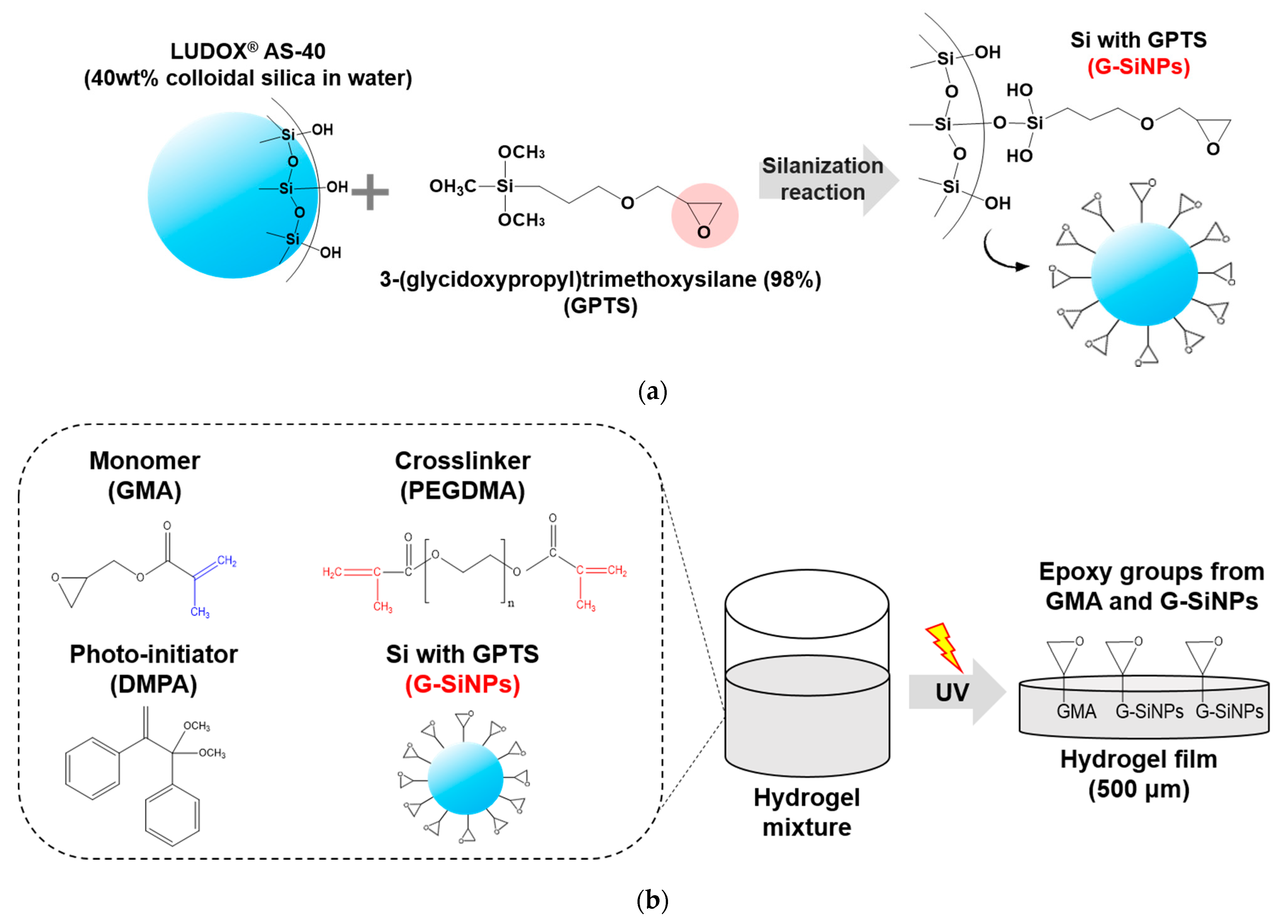 Polymers 13 03296 g001