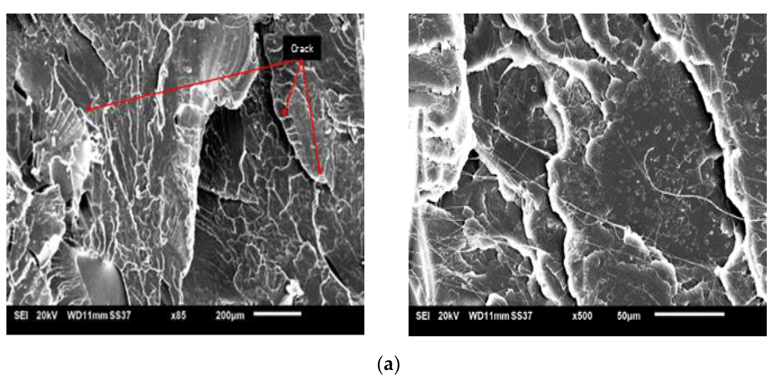 Polymers 13 03299 g011a Polymers 13 03299 g011a