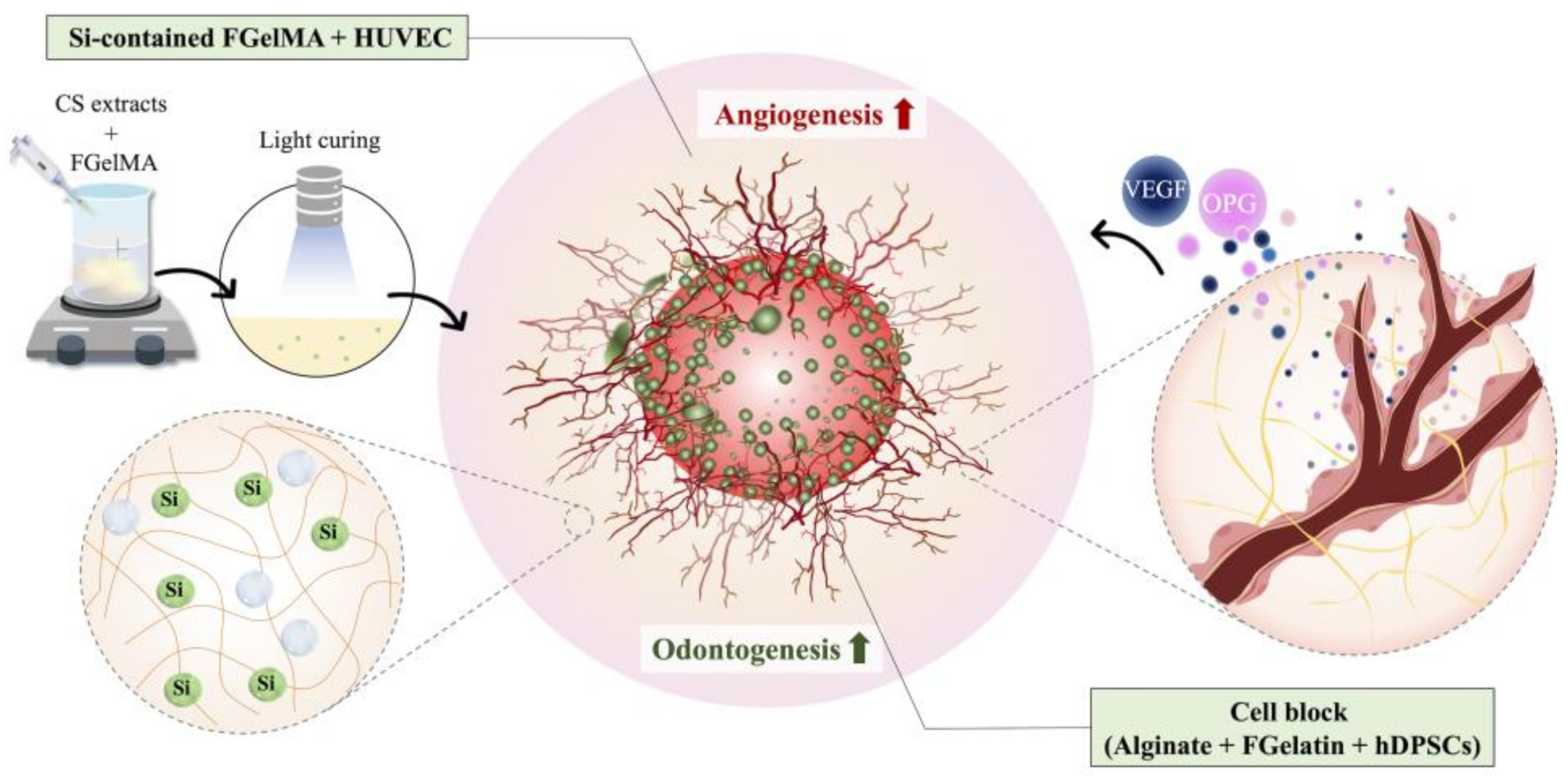 Polymers 13 03301 g001