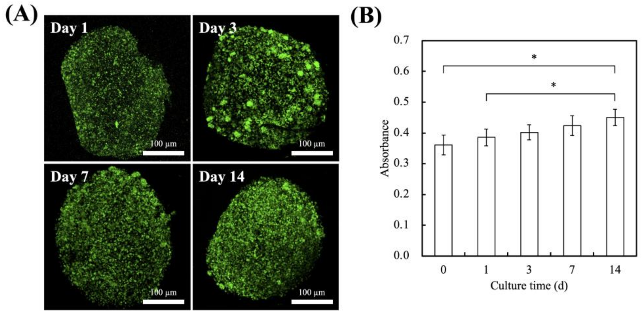Polymers 13 03301 g005