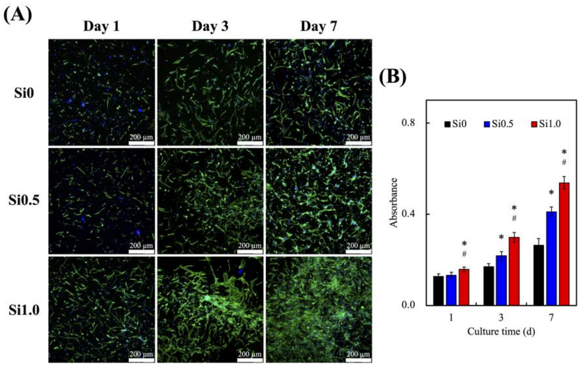 Polymers 13 03301 g006