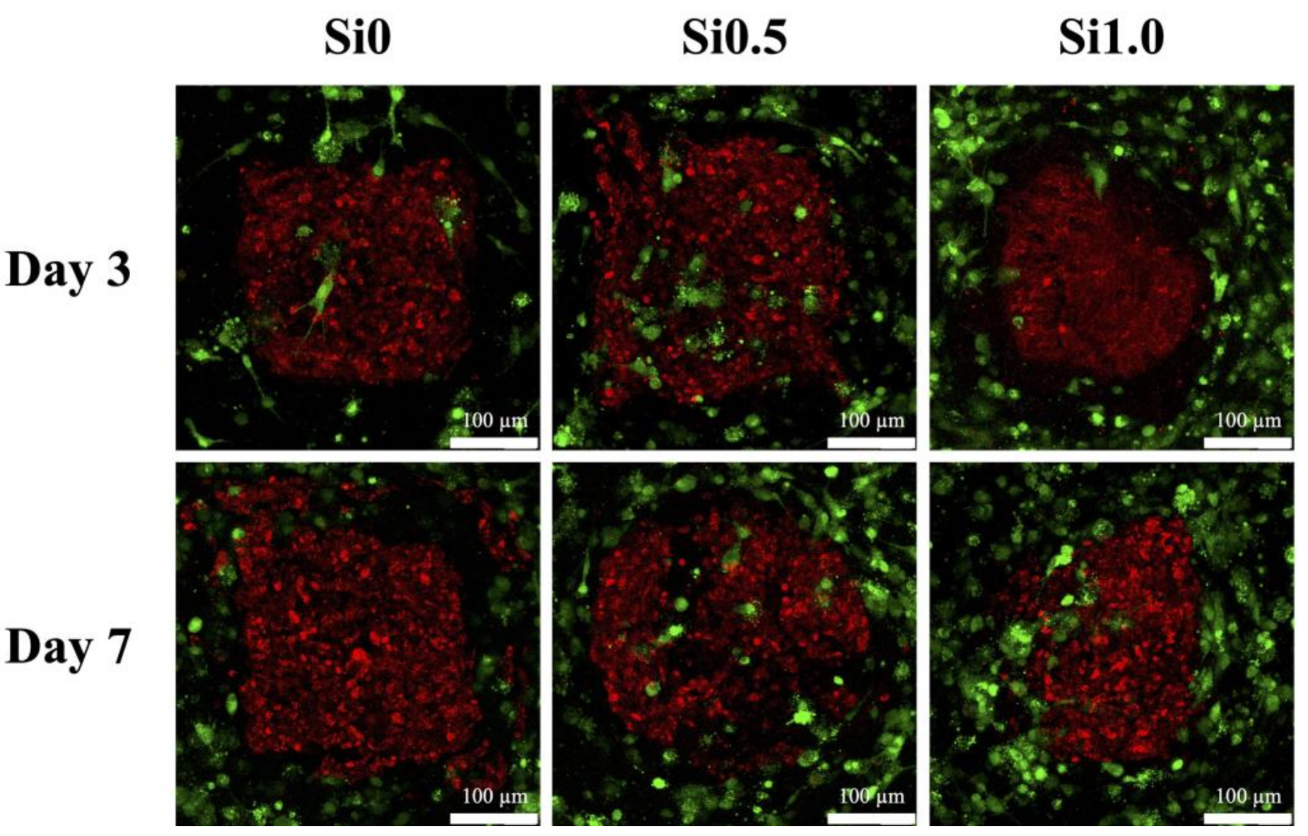 Polymers 13 03301 g009