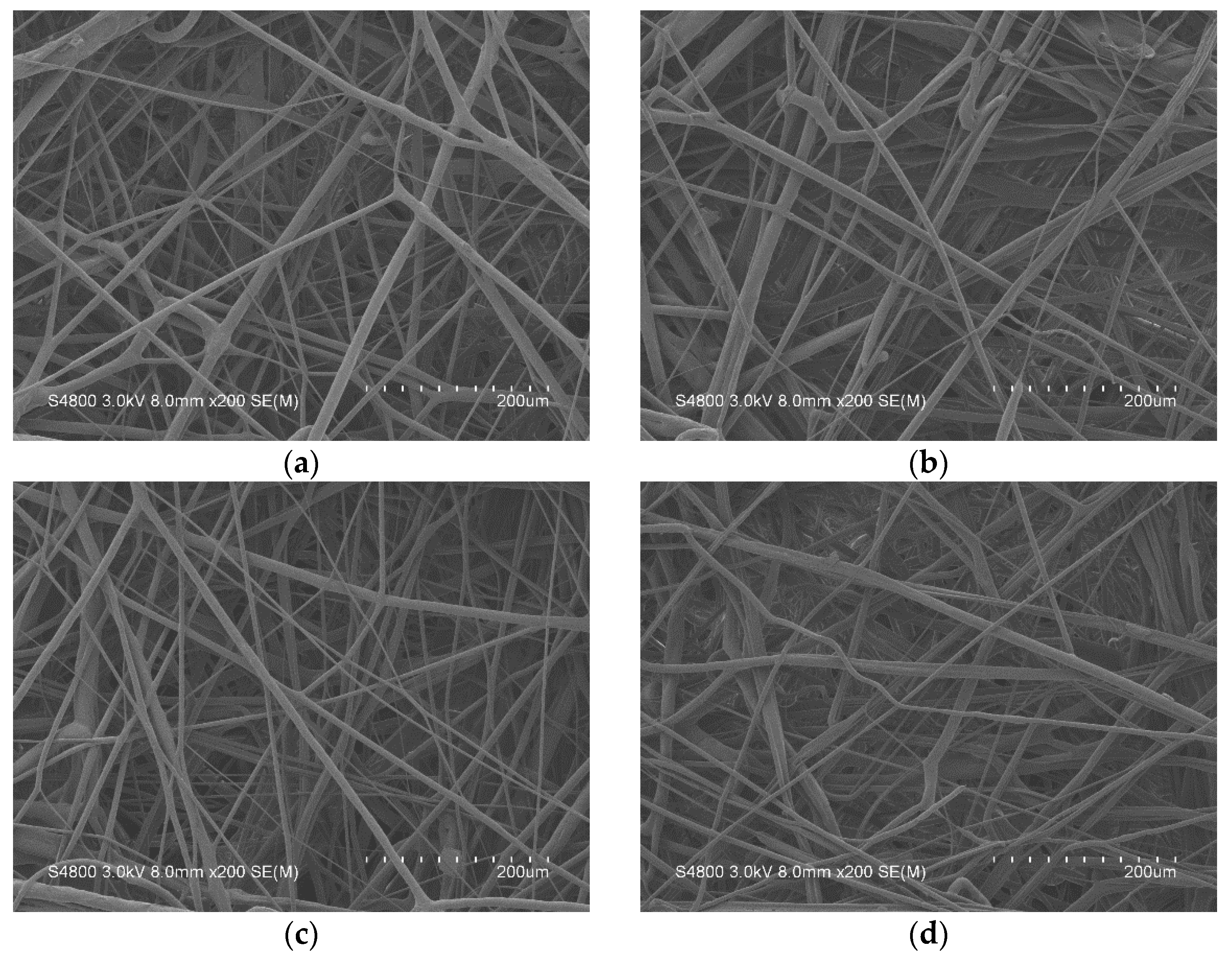 Polymers 13 03303 g007
