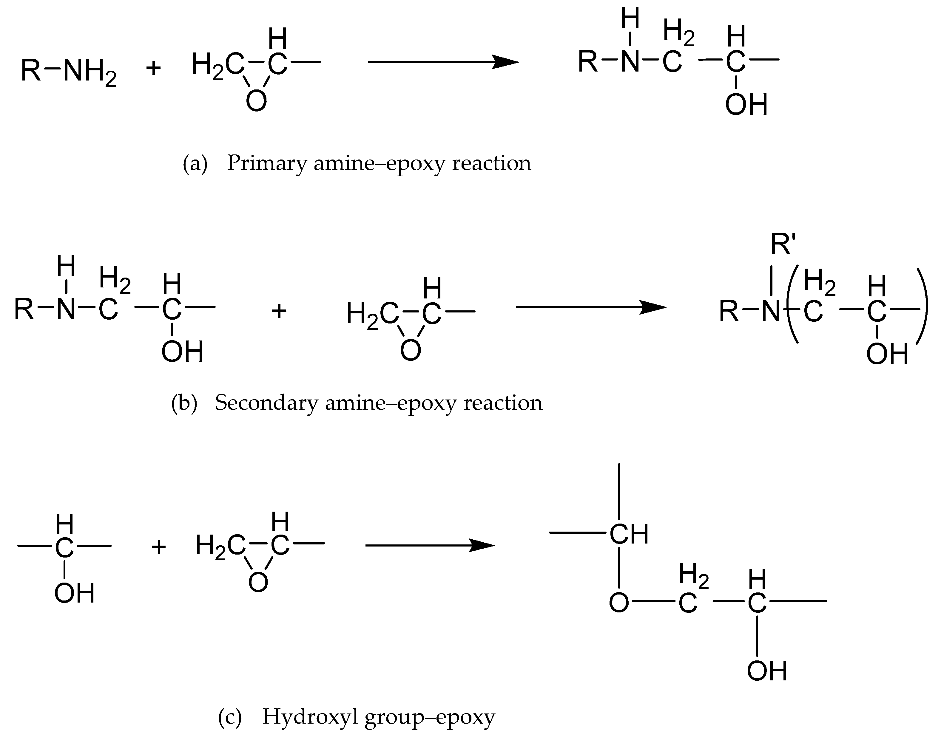 Polymers 13 03304 g002