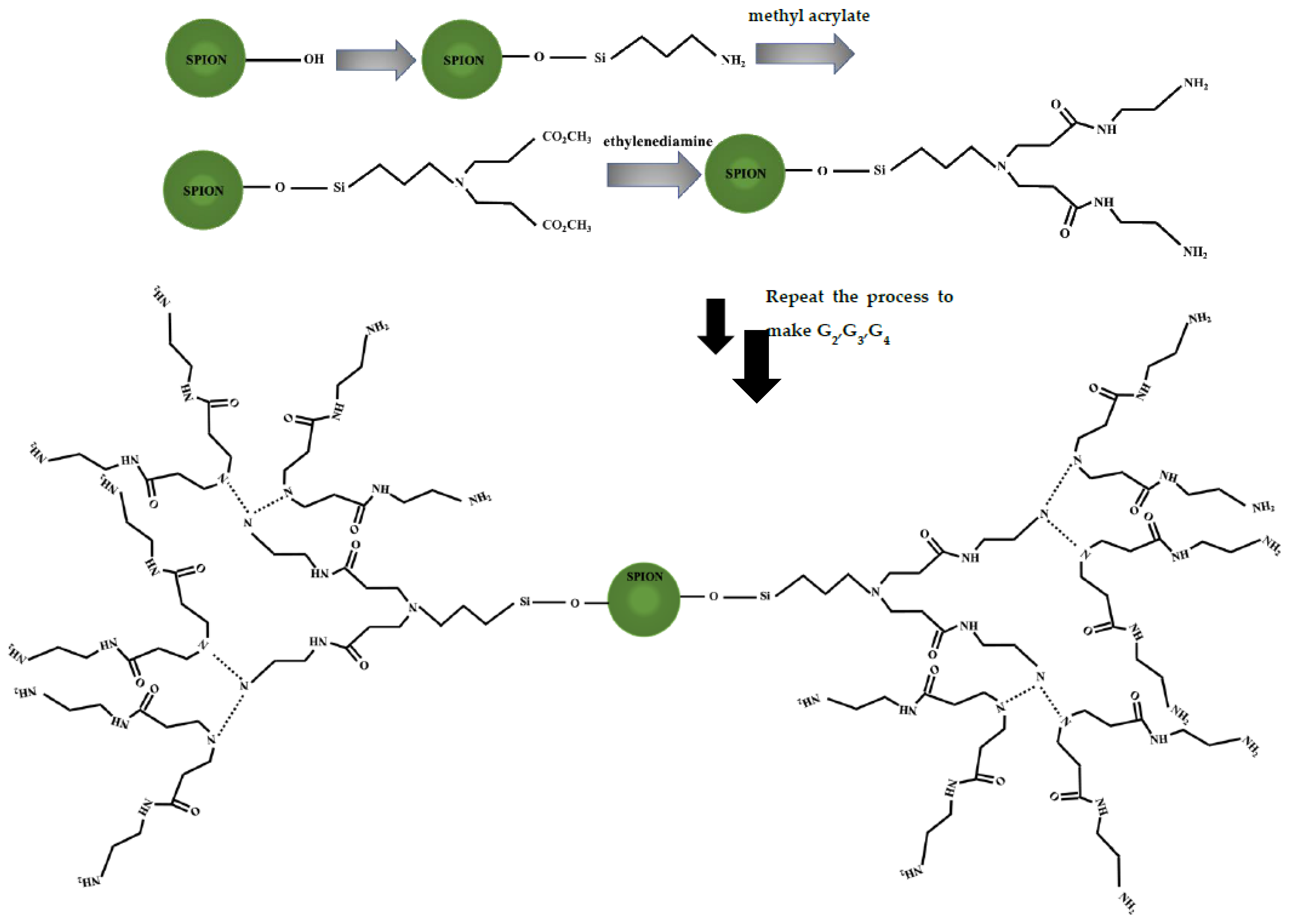 Polymers 13 03306 g001