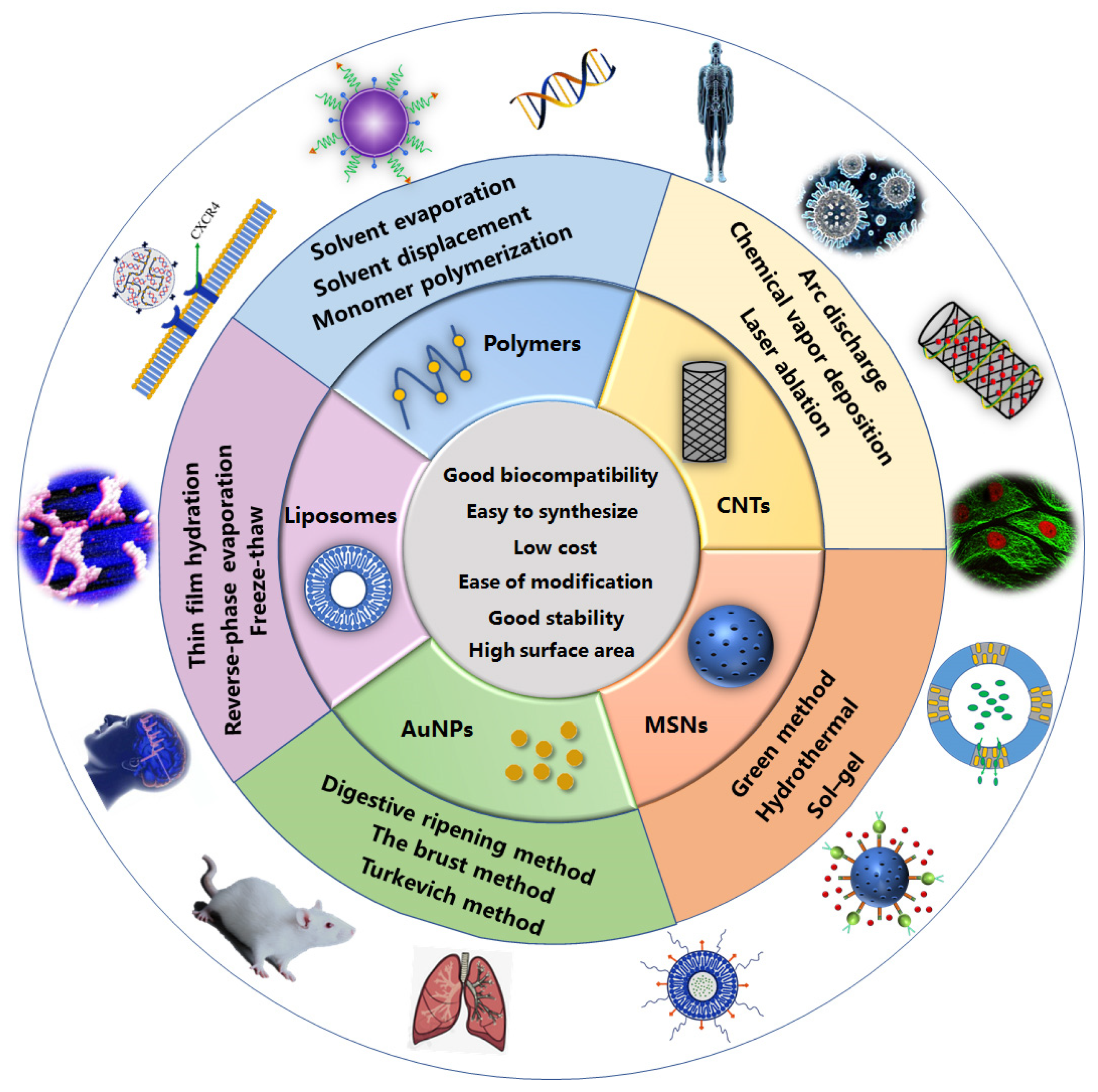 Polymers 13 03307 g001