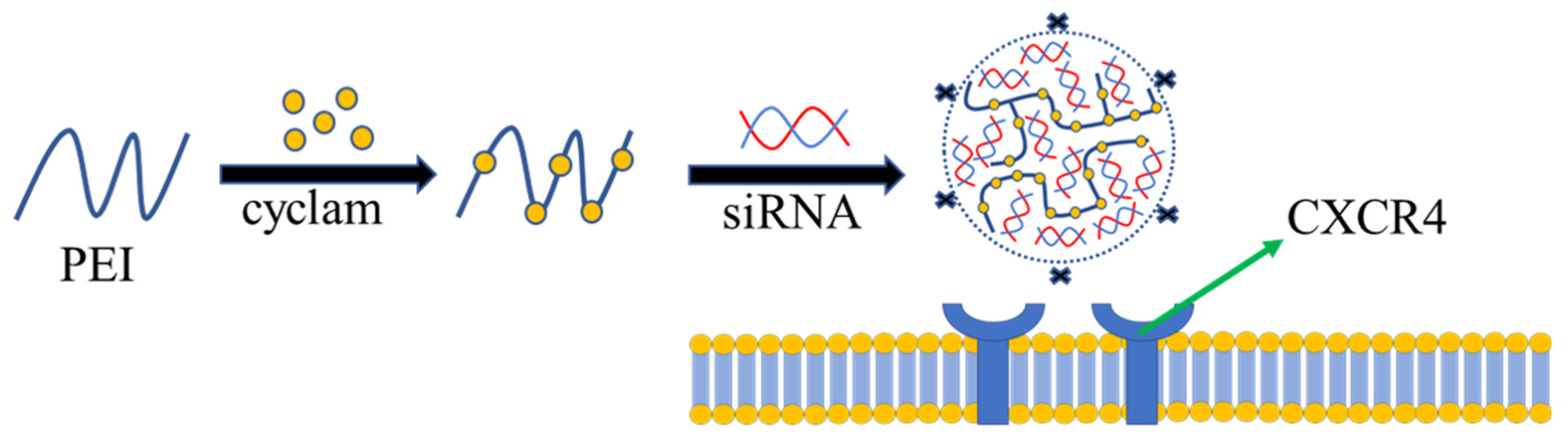 Polymers 13 03307 g002