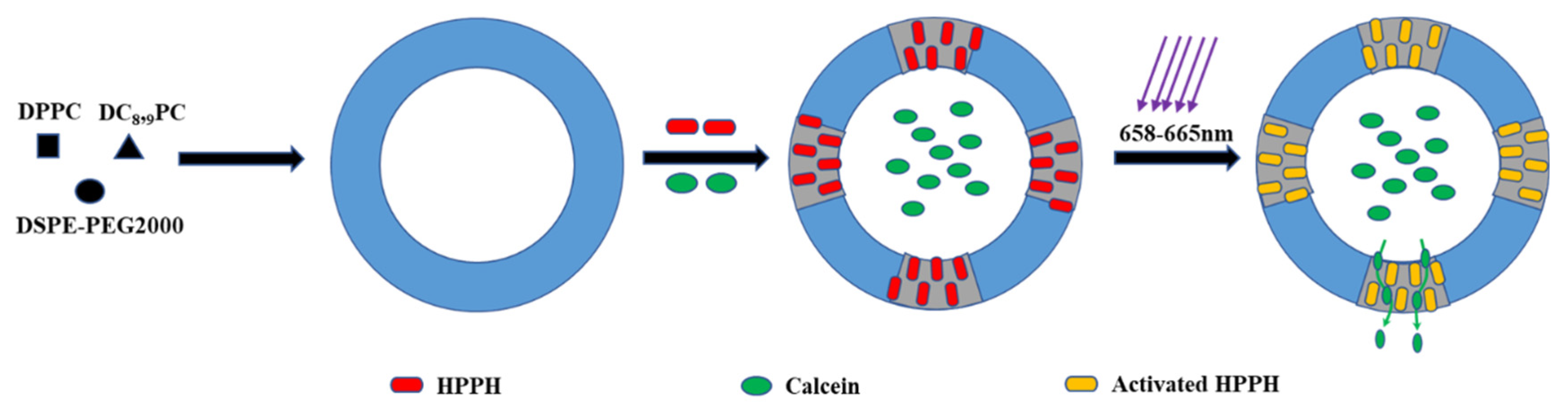 Polymers 13 03307 g004